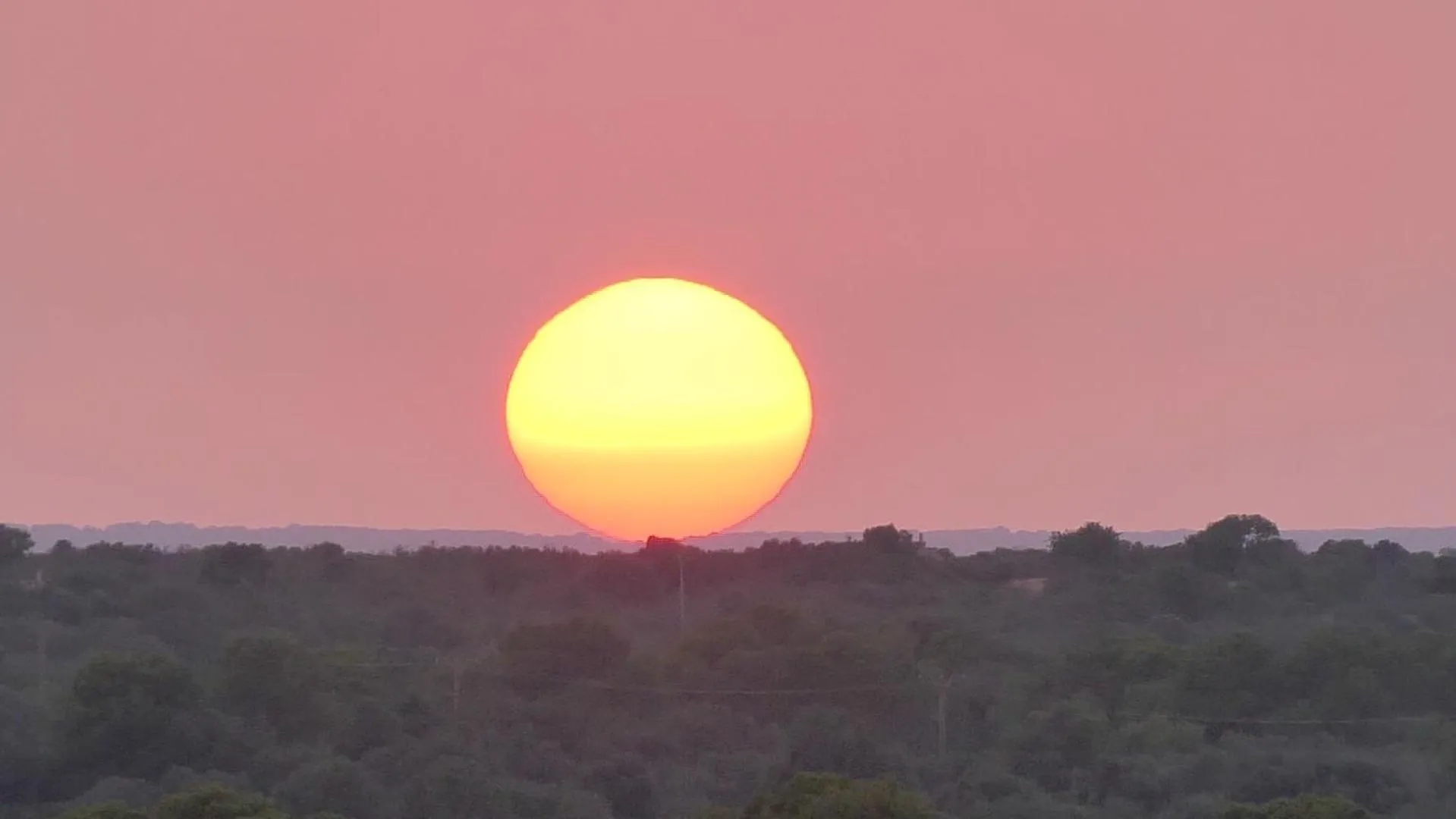View (from property/room) in Finca Hotel Rural Es Turó