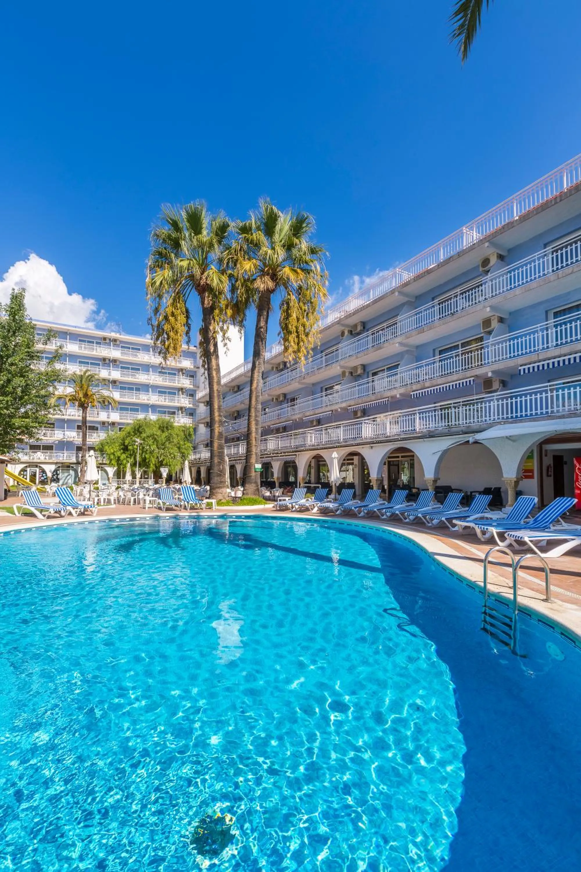 Garden in Hotel Apartamentos Solimar