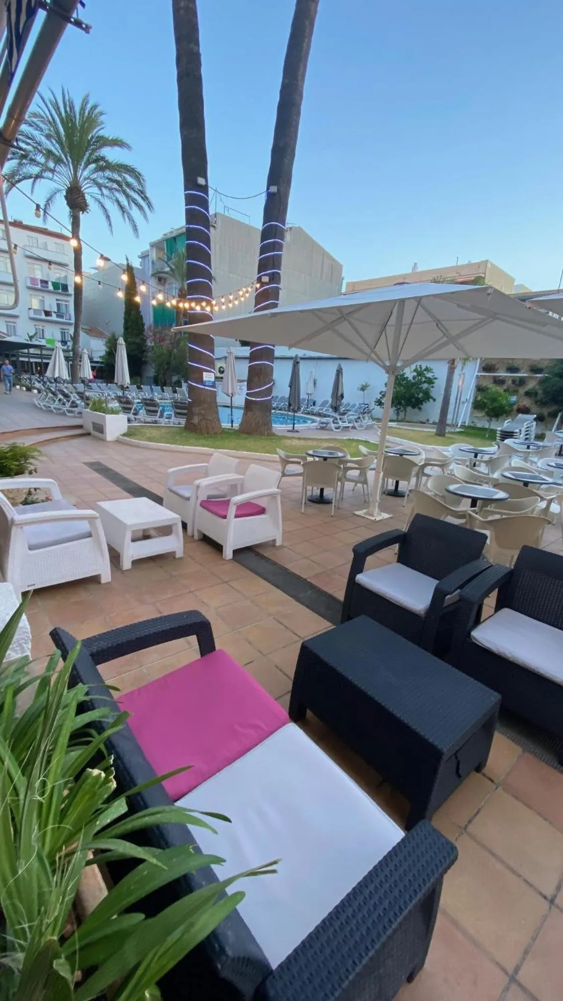 Garden in Hotel Apartamentos Solimar