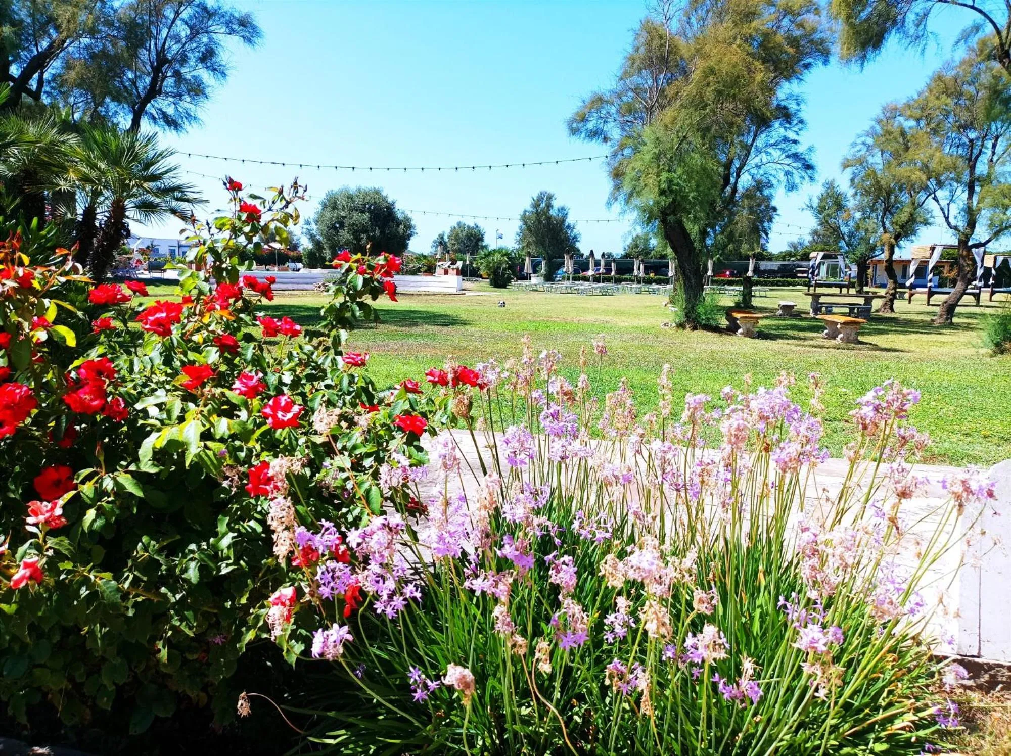 Garden in Riva di Palo Beach Hotel