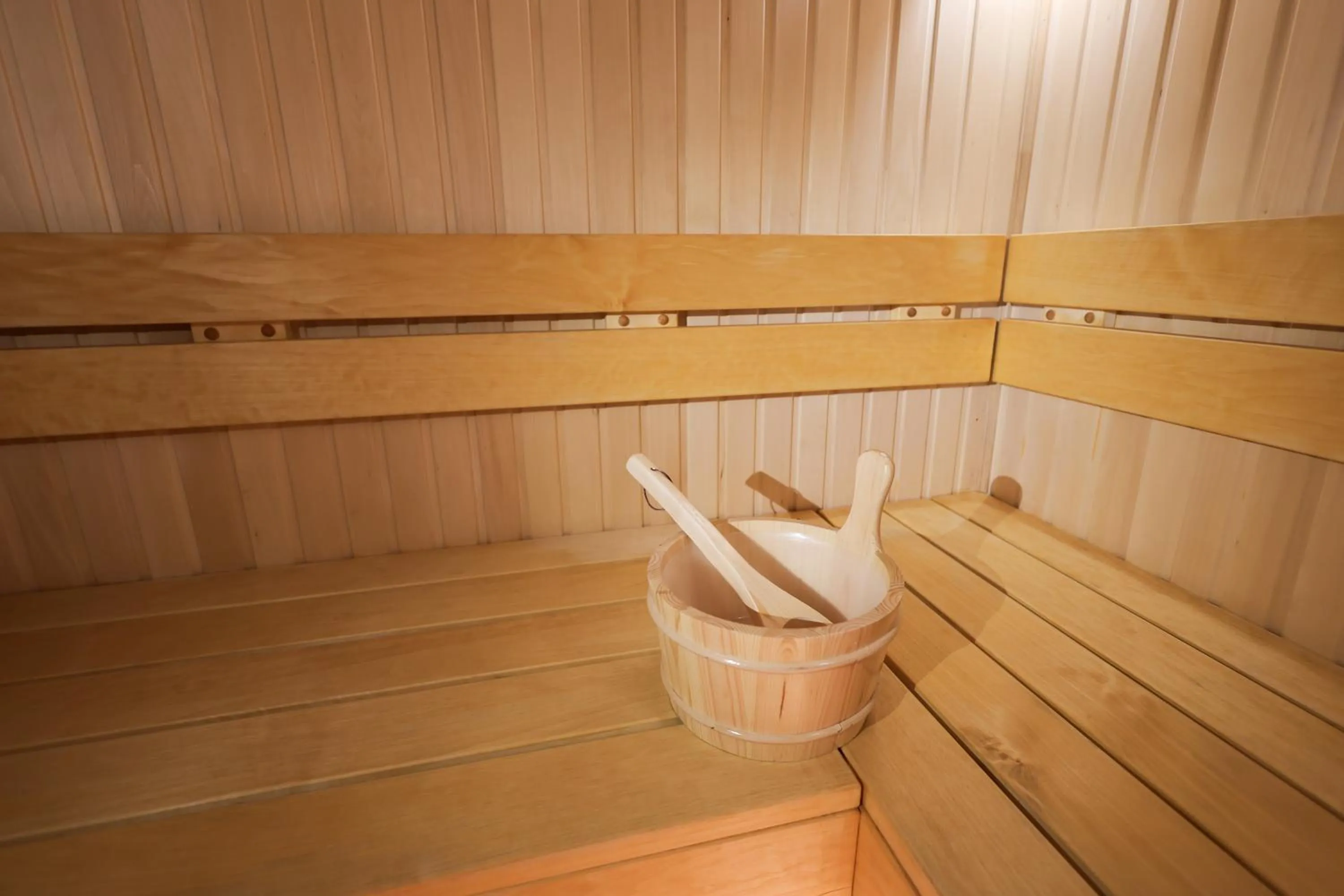 Sauna in Dandelion Hotel Gudauri
