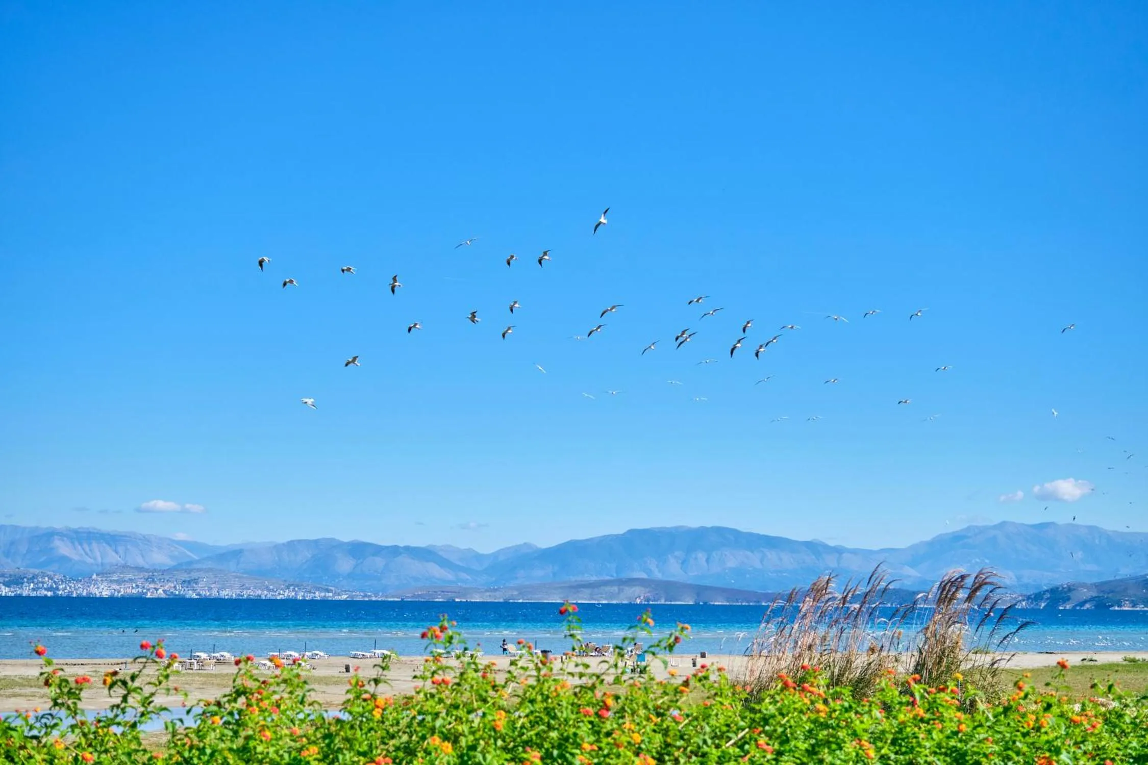Natural landscape in Nikos Kalamaki Corfu