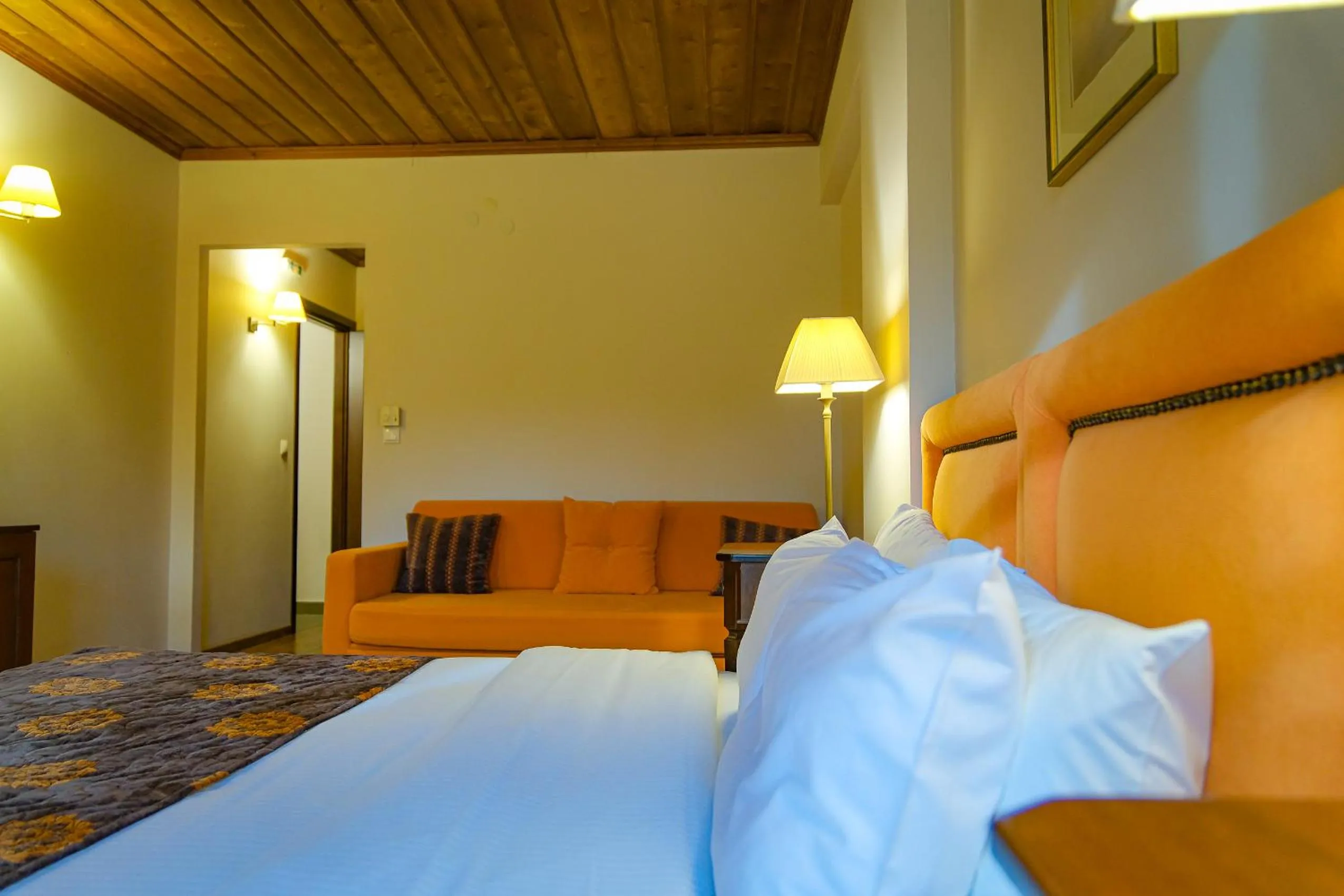 Photo of the whole room, Bed in Kipi Mountain Resort