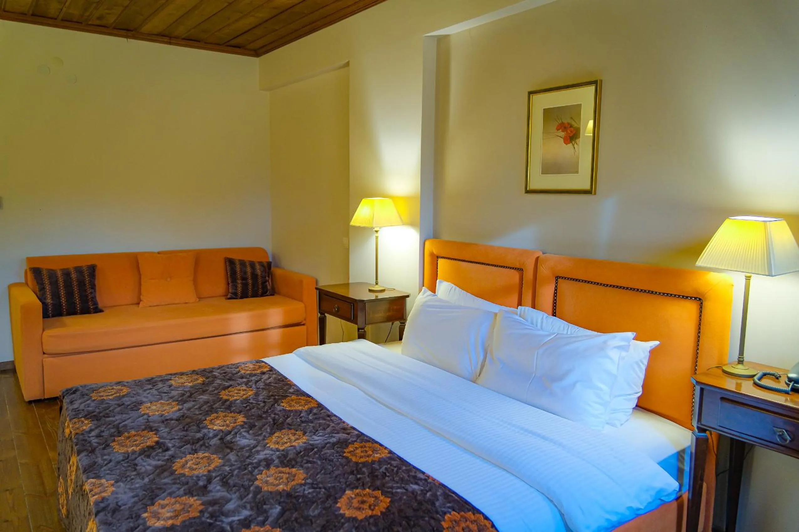 Photo of the whole room, Bed in Kipi Mountain Resort