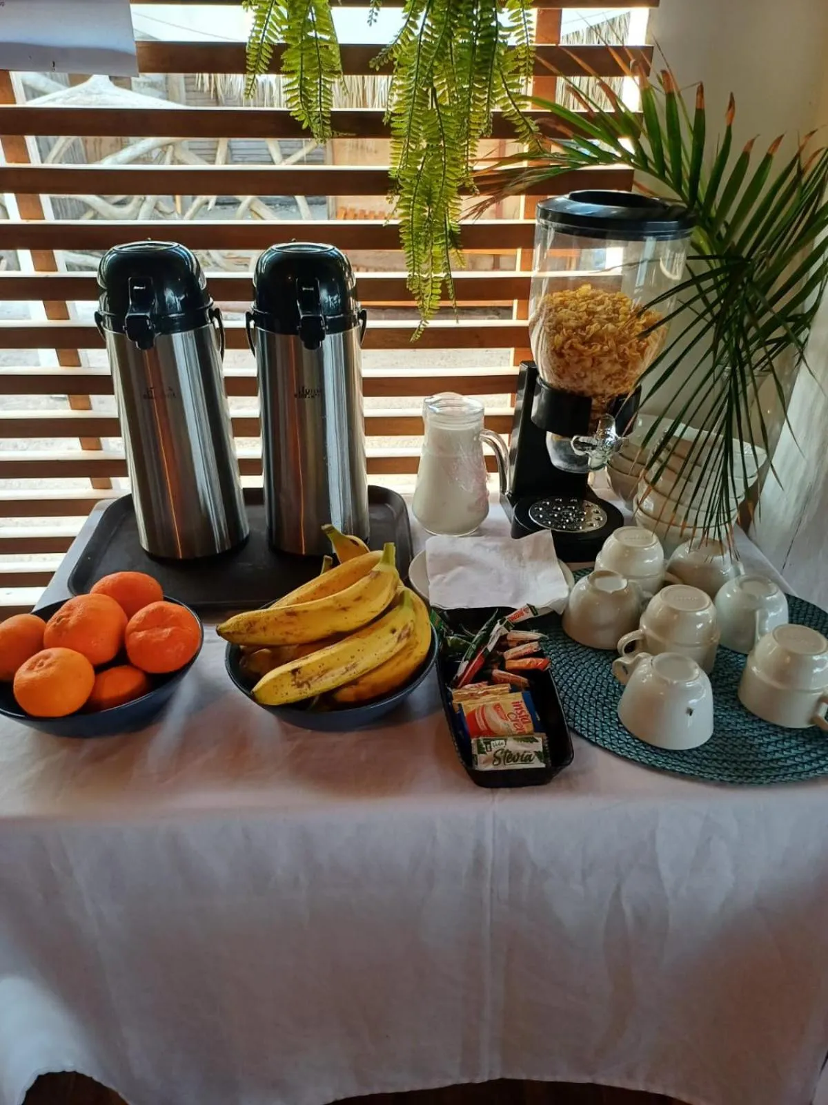 Breakfast in Cristal Blue Barú