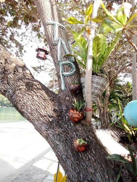 Decorative detail in Thong Nai Pan Beach Resort