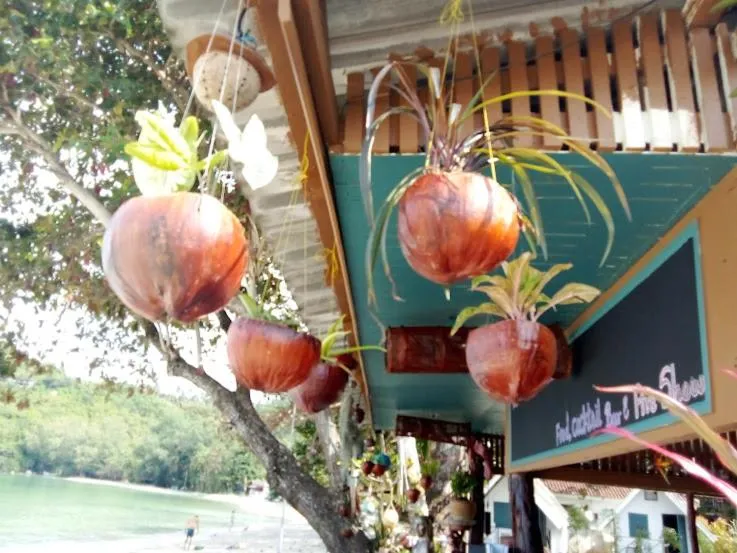 Lounge or bar in Thong Nai Pan Beach Resort