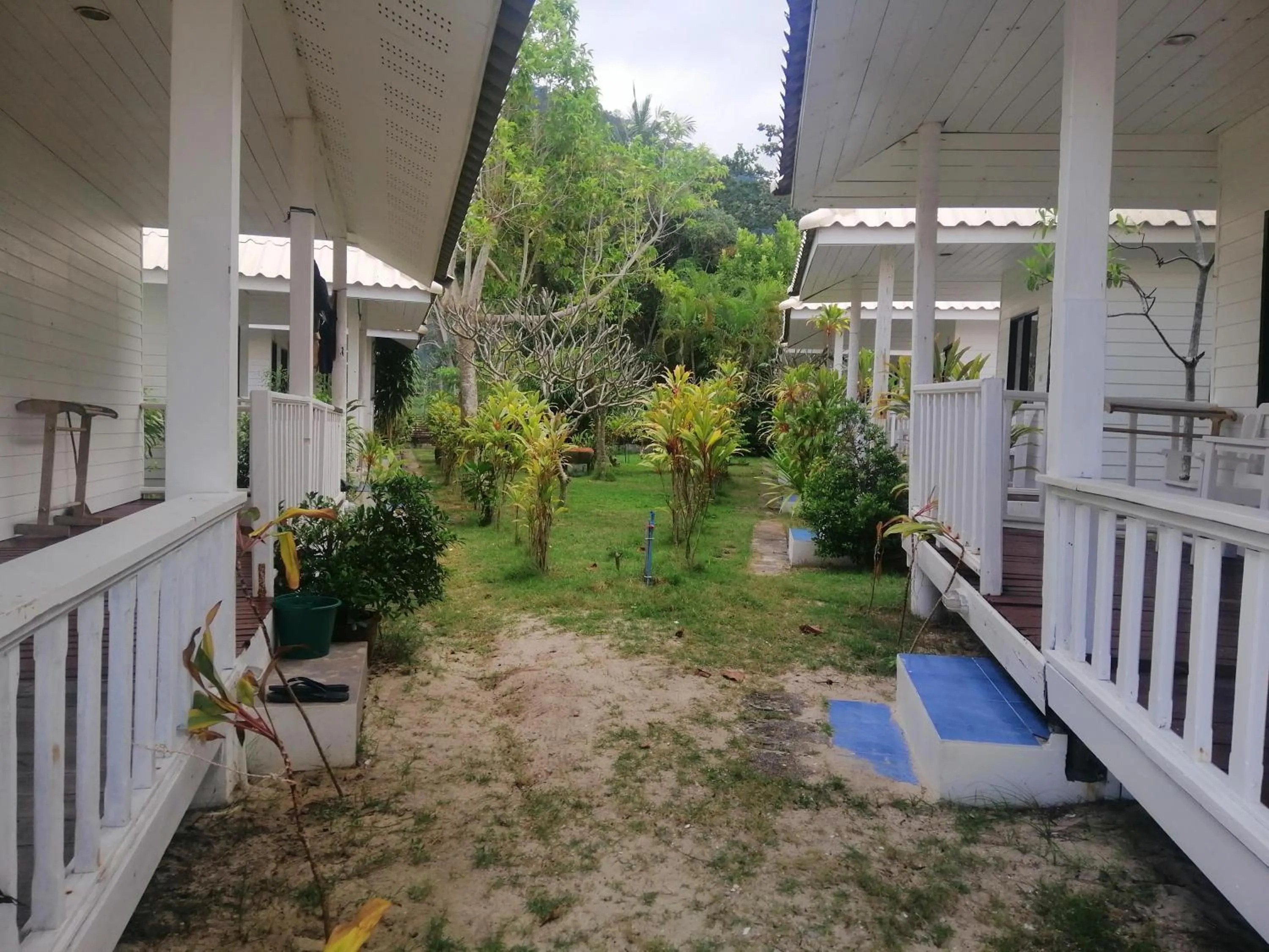 Garden in Thong Nai Pan Beach Resort
