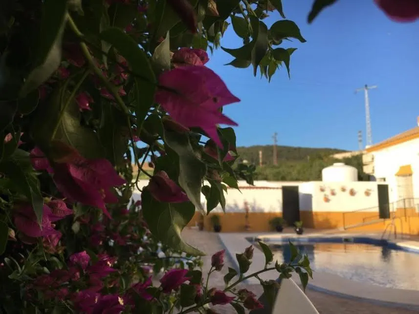 Swimming pool in Hotel Andalou