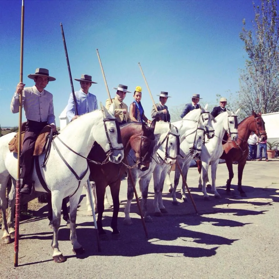 Off site in Hotel Andalou