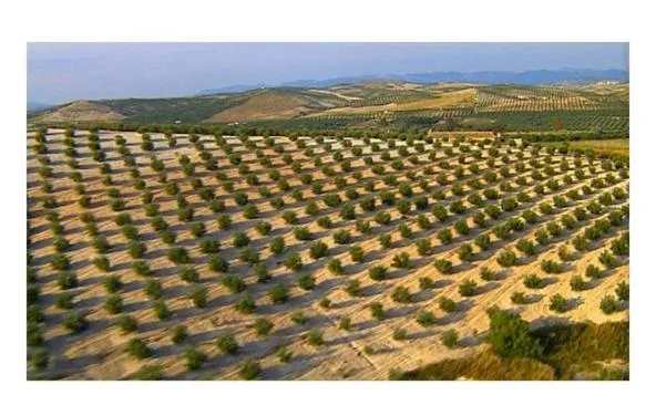 Natural landscape in Hotel Andalou