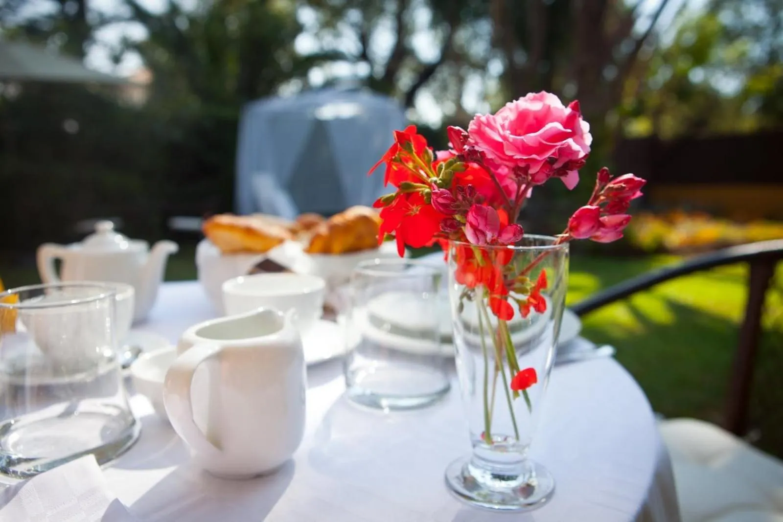 Food and drinks in Family hotel Al- Ana Marbella