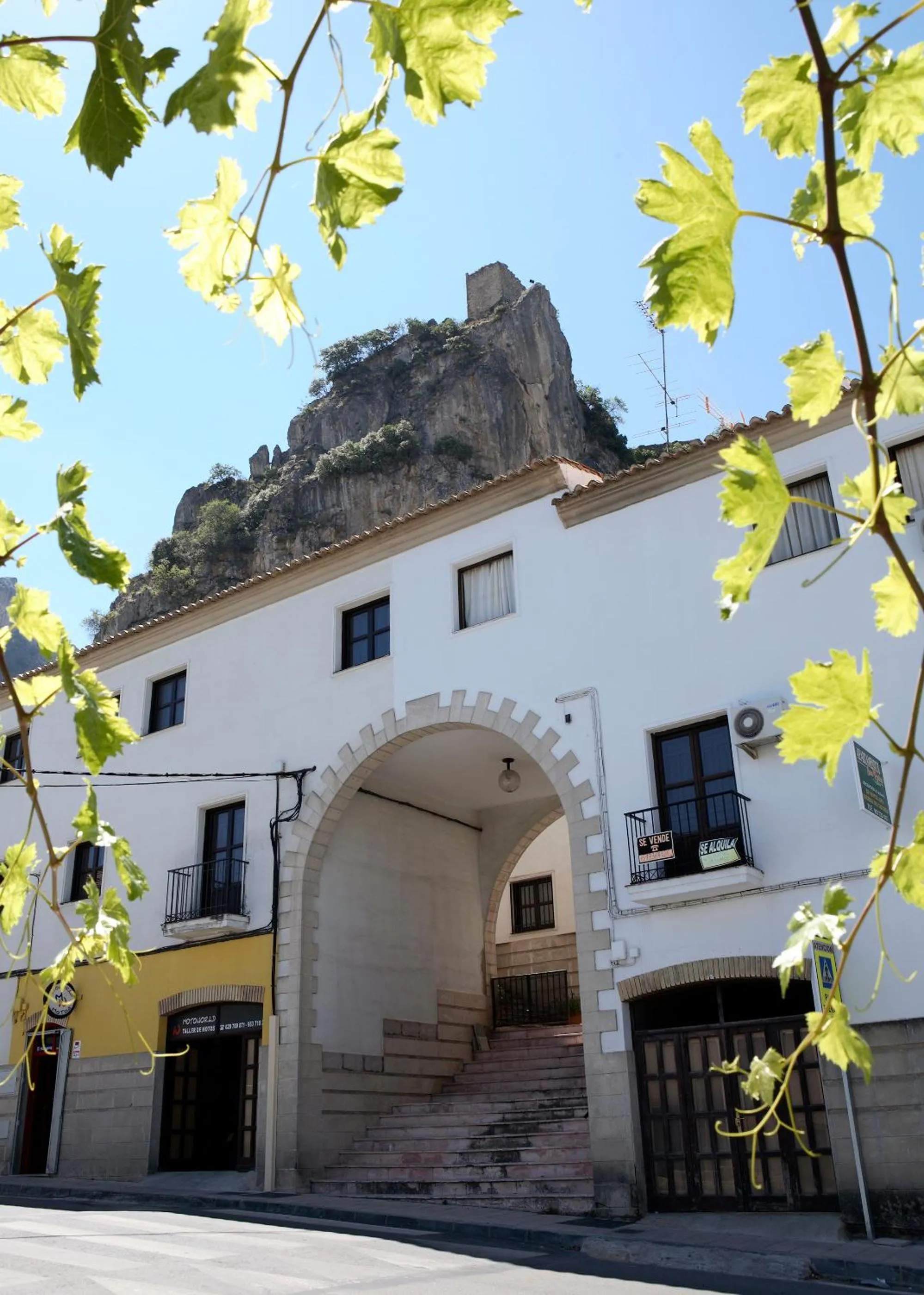 View (from property/room) in Apartamentos San Pedro