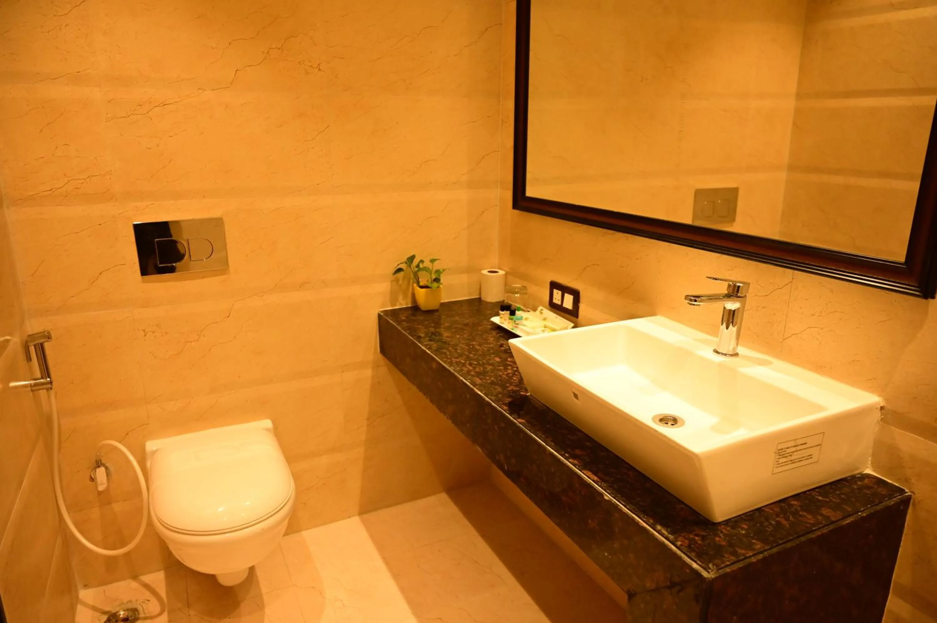 Toilet in PIPUL PADMAJA PRIDE