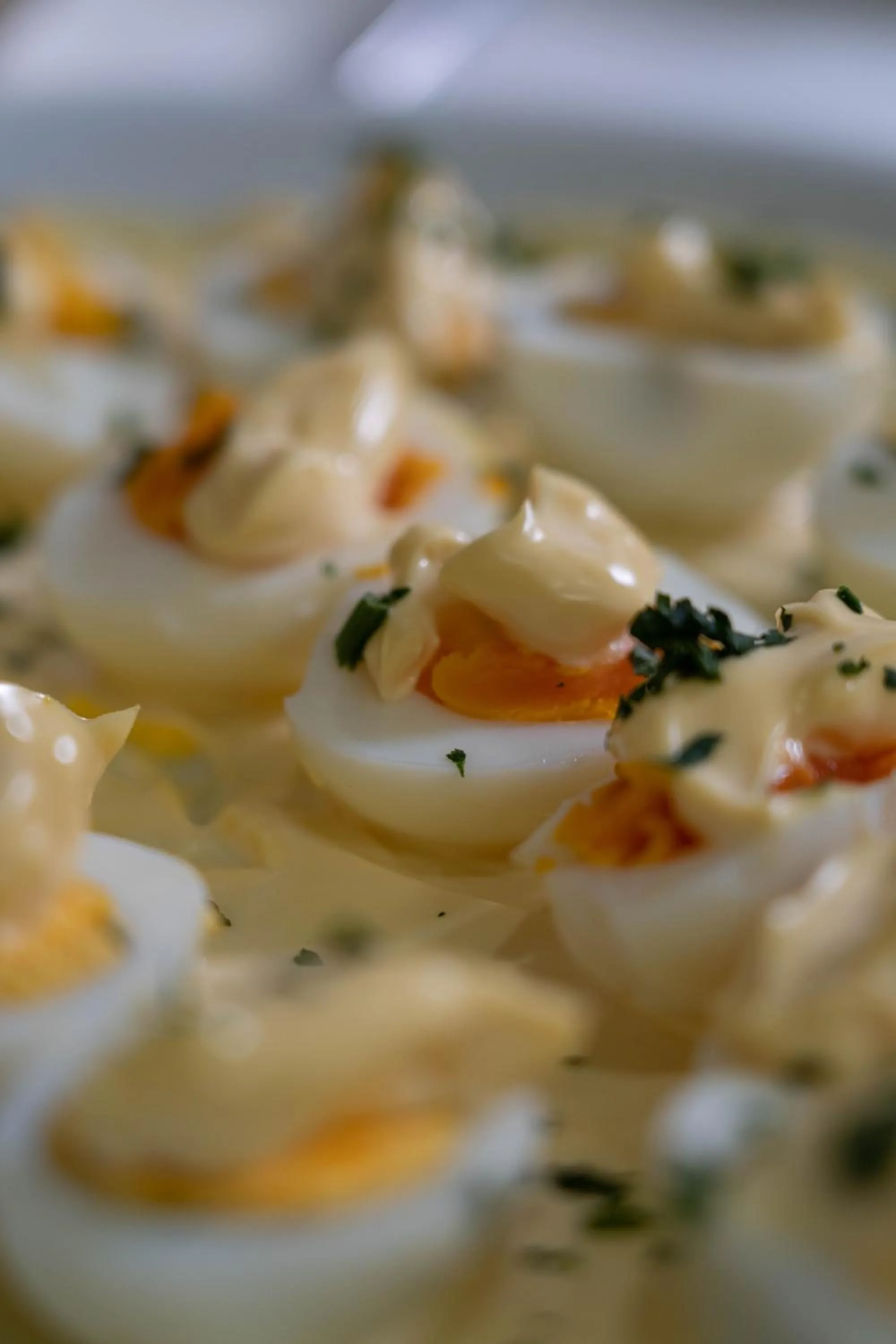 Food in HOTEL CONCORDE