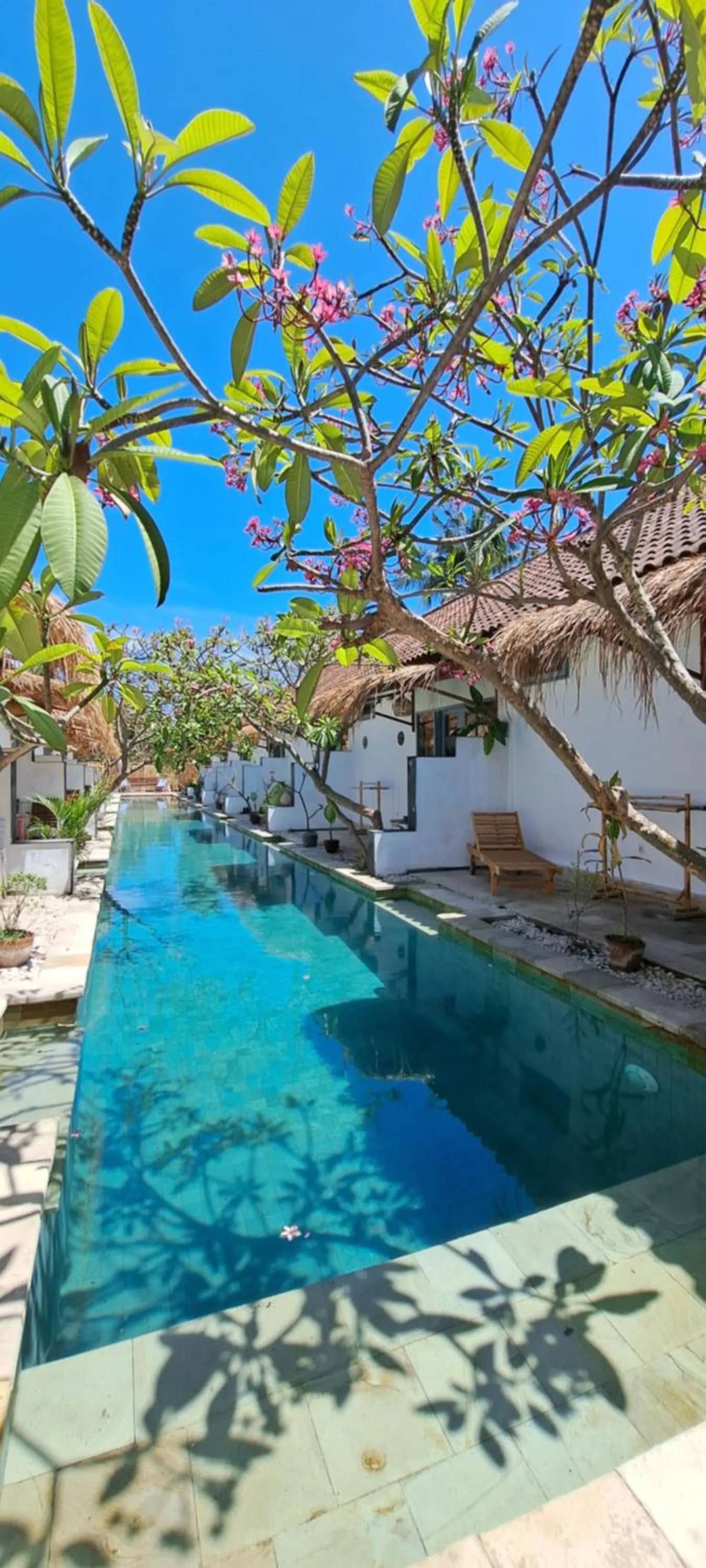 Pool view in Kubuwatu Boutique Accommodation