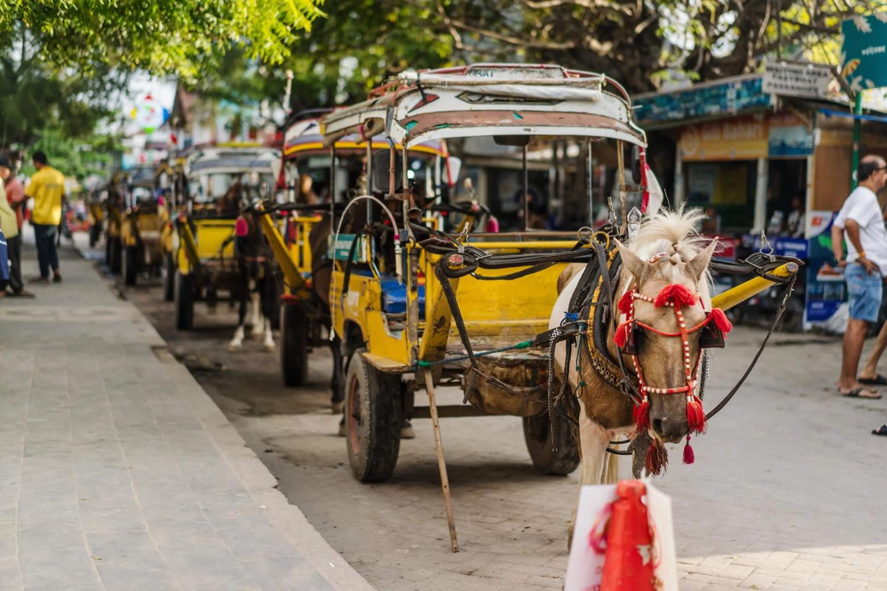 Activities in Kubuwatu Boutique Accommodation