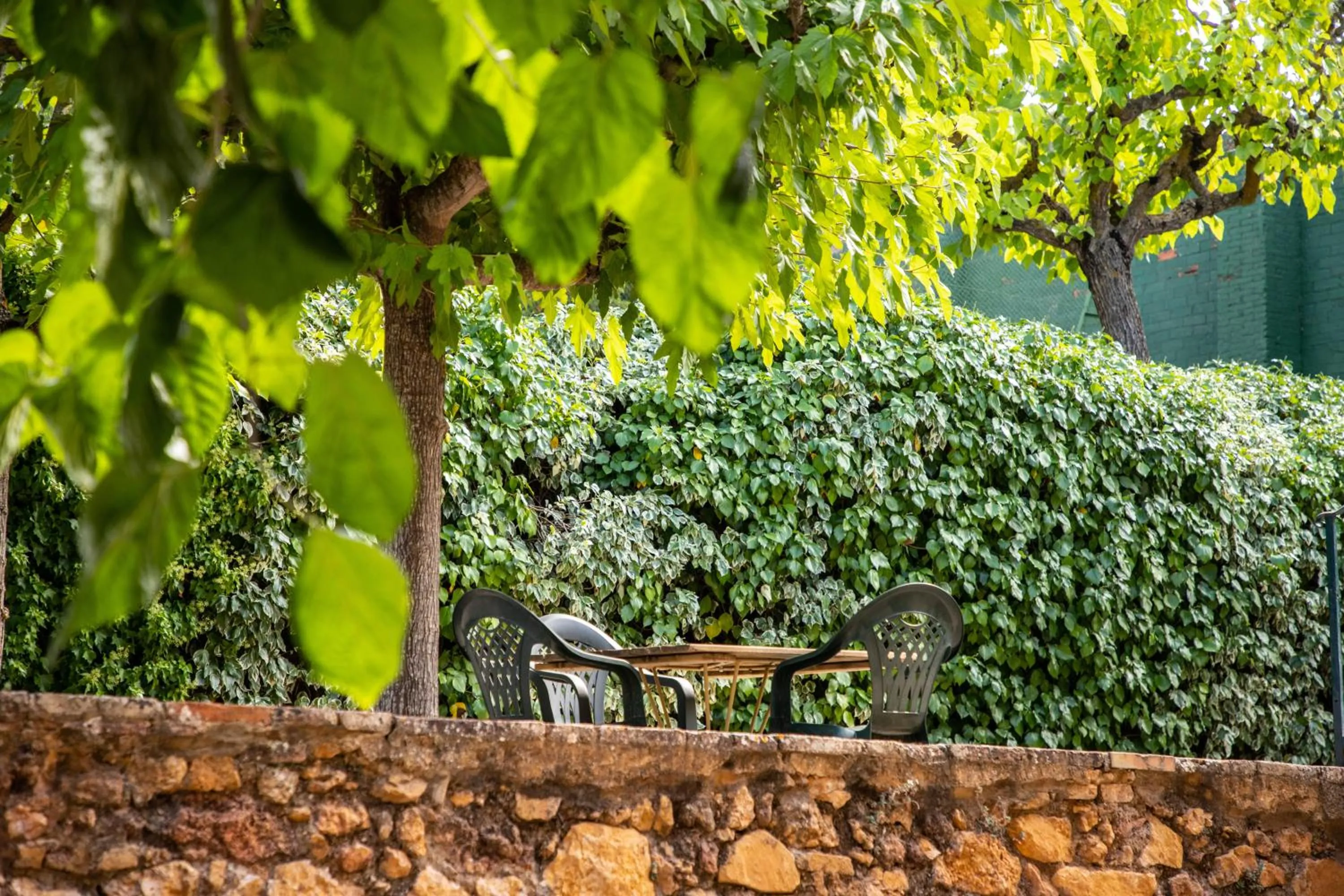 Garden in Hotel Rural y Apartamentos Villa Engracia