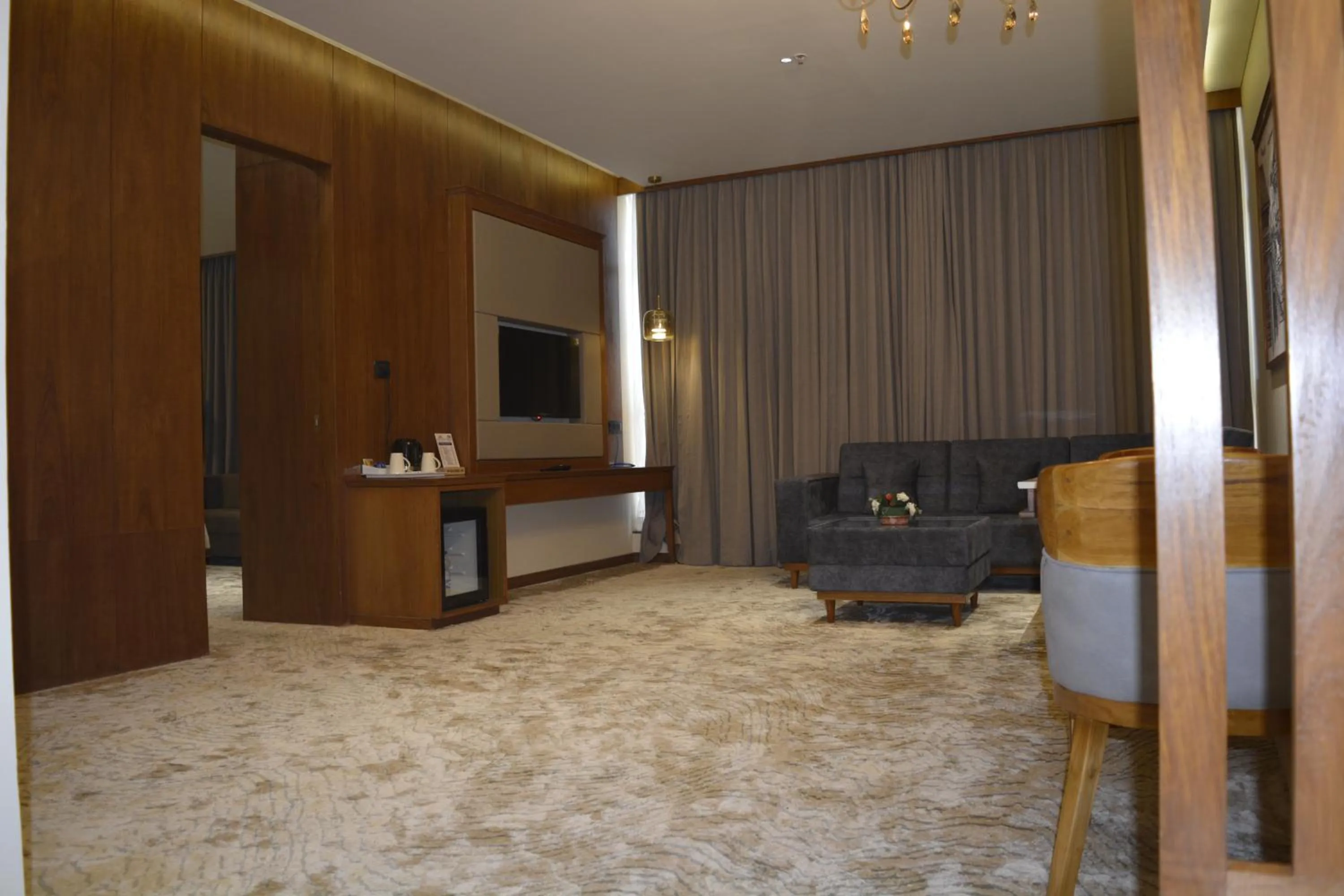 Living room in Sayaji Morbi