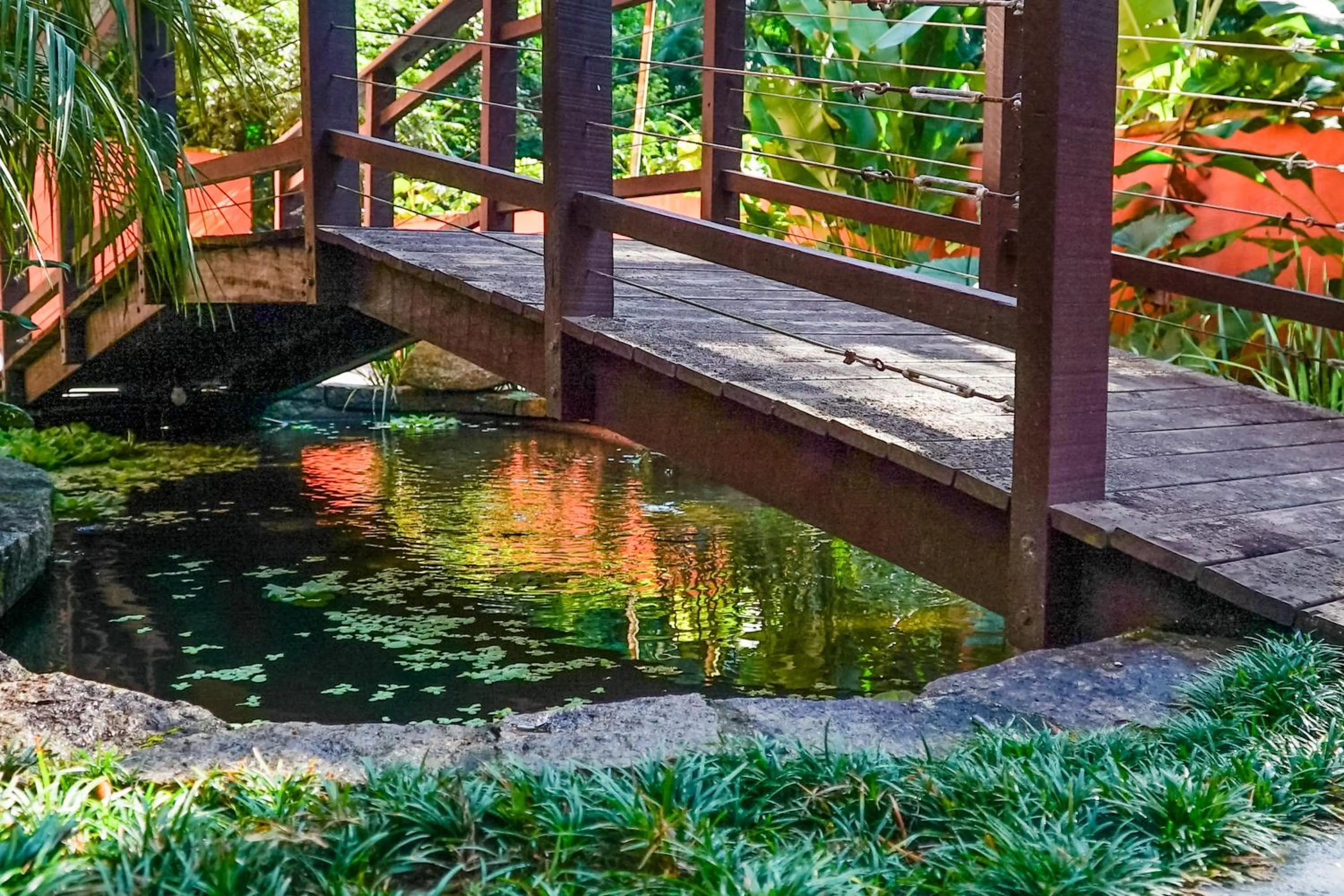 Day in VELINN Pousada Canoa Ilhabela