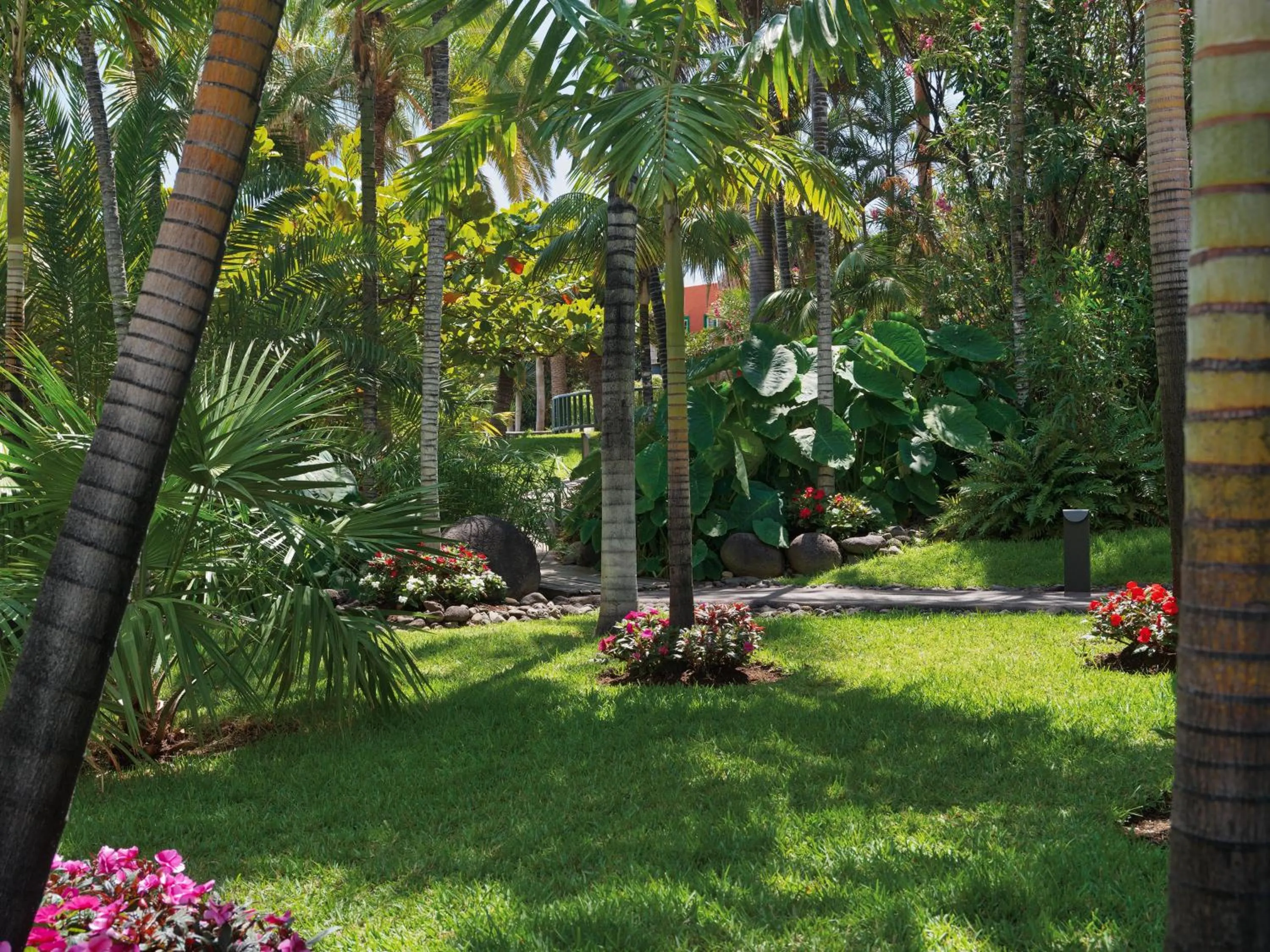 Garden in Hacienda San Jorge