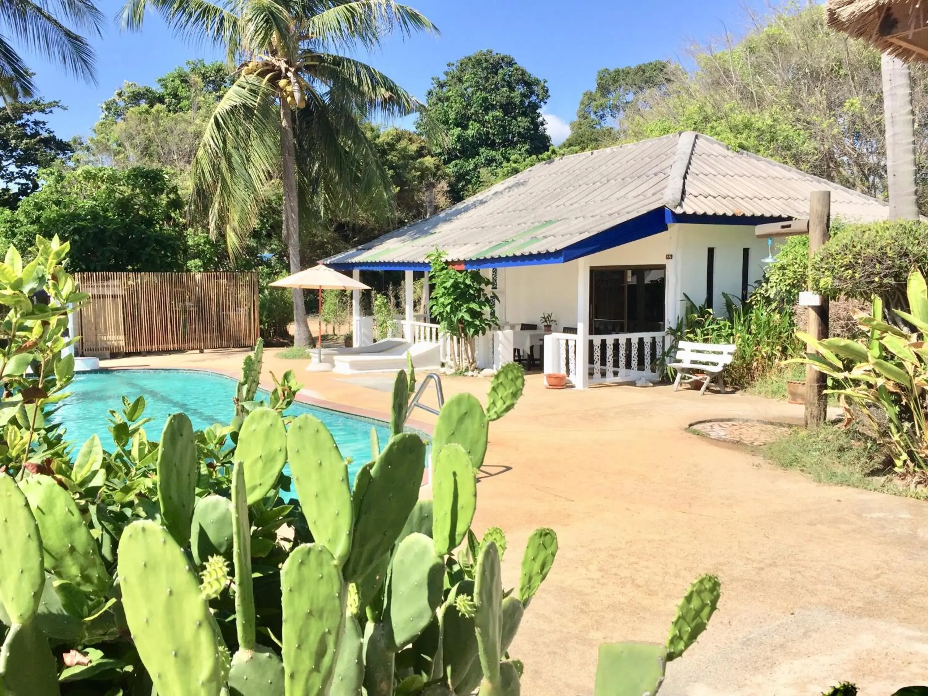 Deluxe Junior Suite in Lamai chalet Deluxe Junior Suite in Lamai chalet