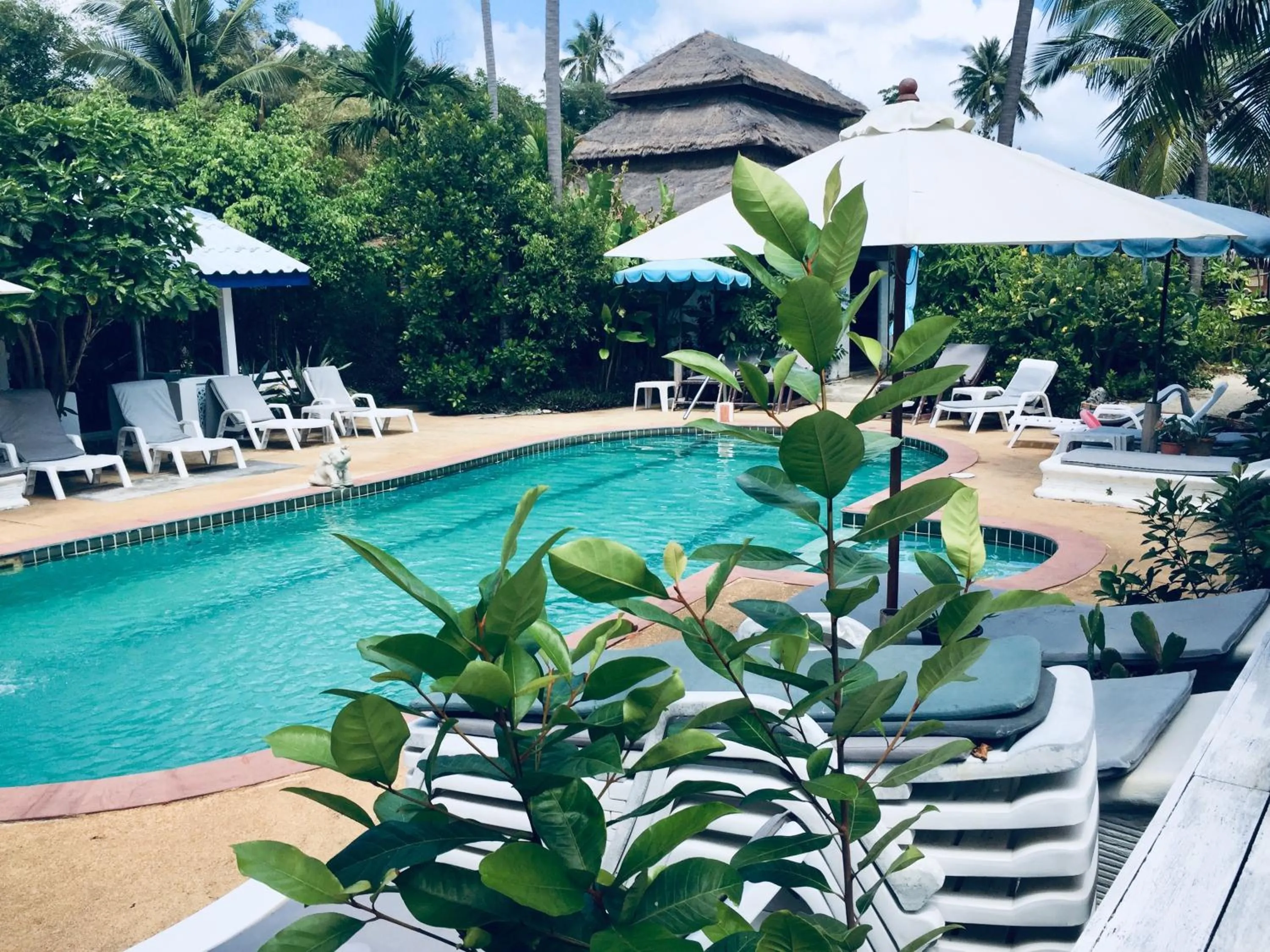 Swimming pool in Lamai chalet