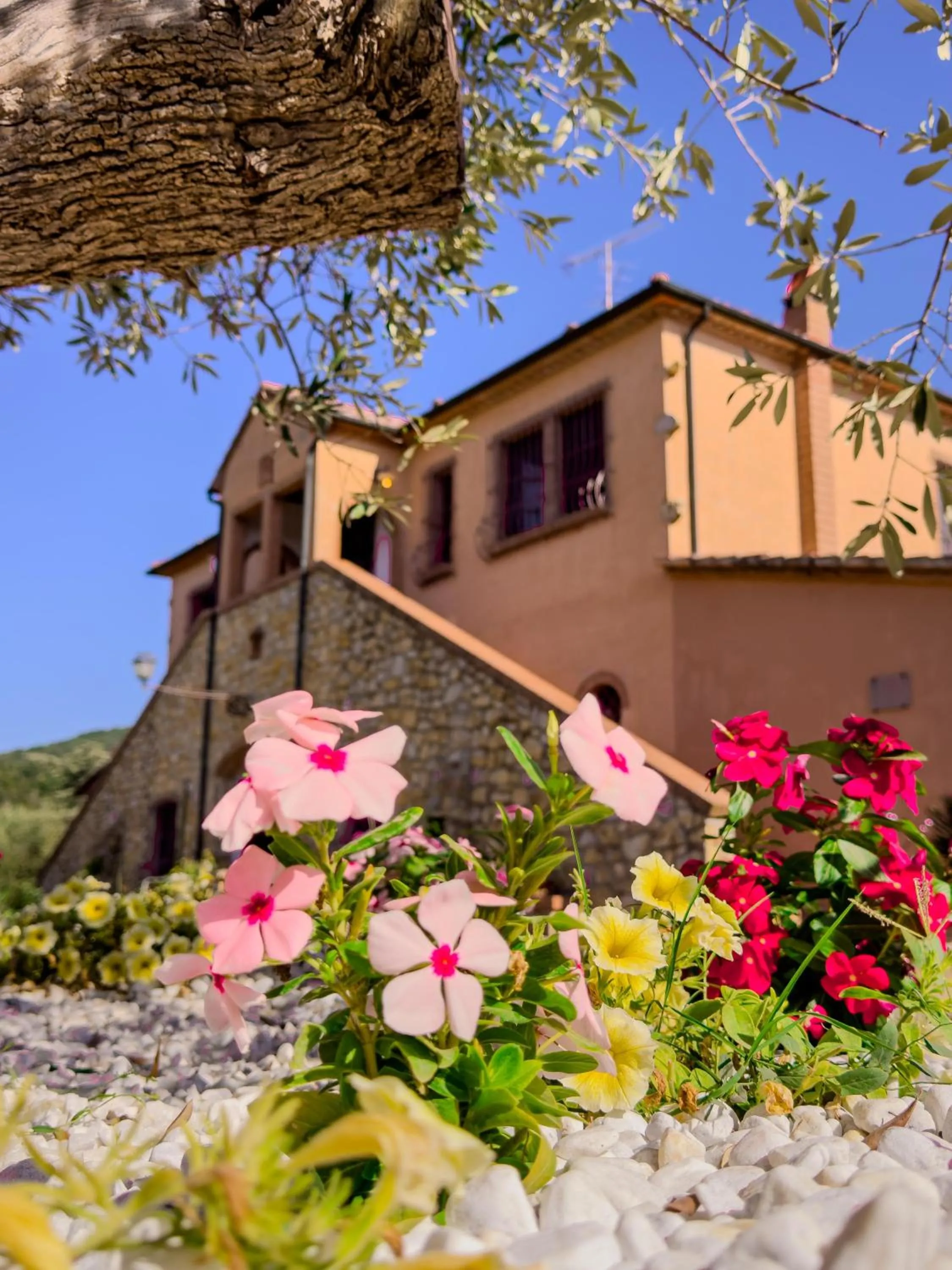 Property building in Villa Cresci con piscina Tuscan villa with pool near Sassetta thermal baths & Bolgheri Wine Route