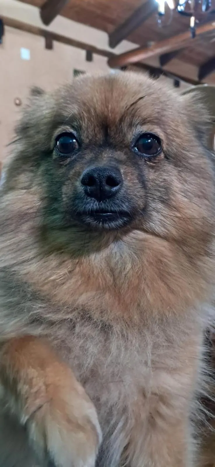 ALBERGUE peregrinos CASAFLOR