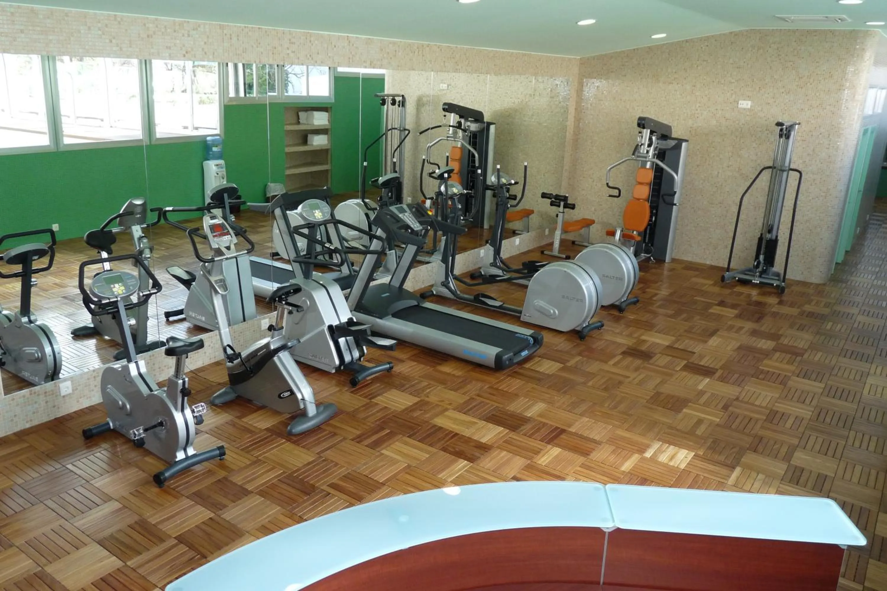 Fitness centre/facilities in Sercotel Guadiana