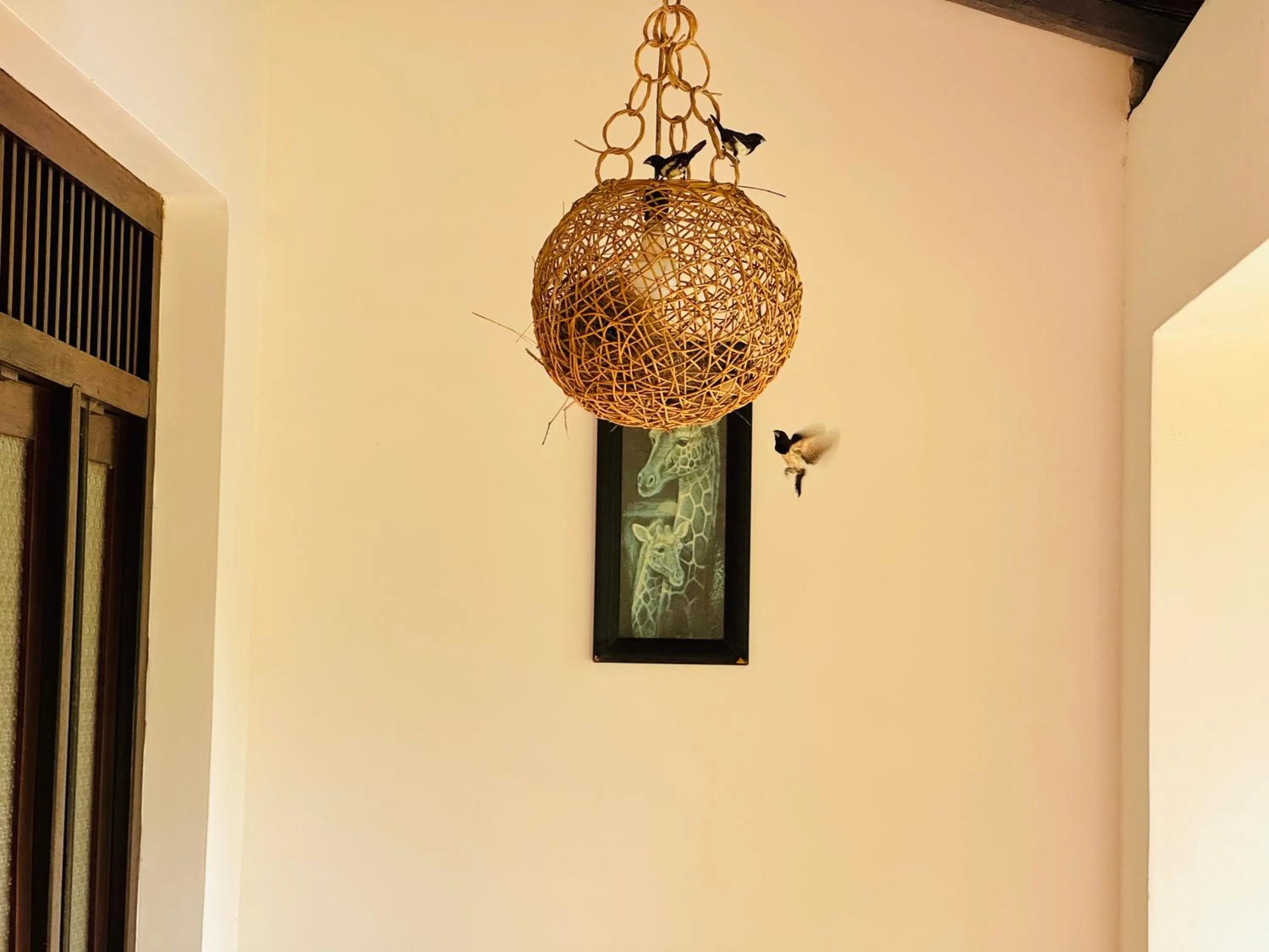 Property building in Shanthi Boutique Villa