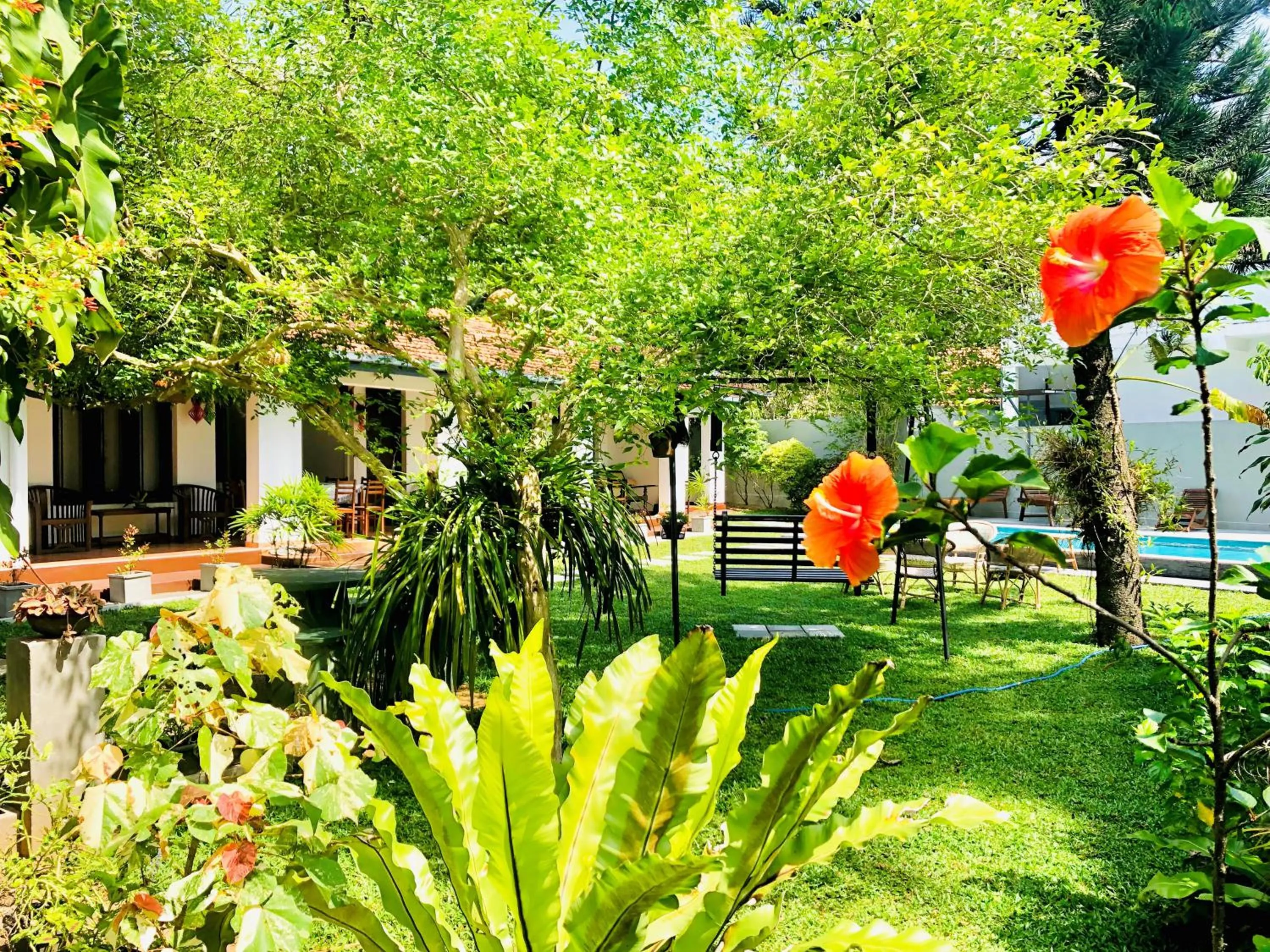 Garden in Shanthi Boutique Villa