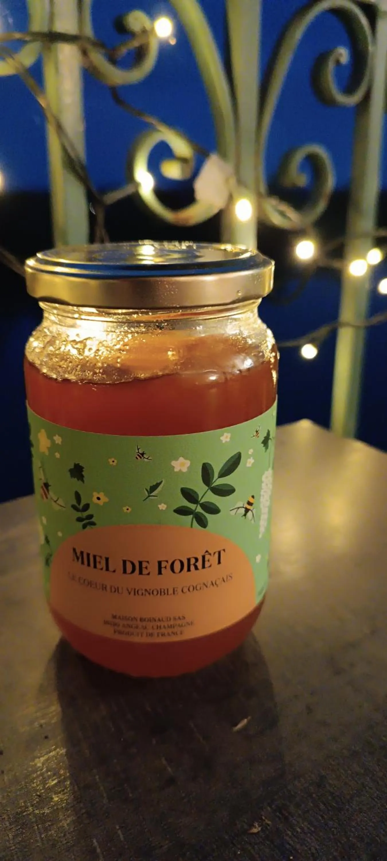 CÔTE GARONNE le BALCON DES DAMES -hôtel et restaurant- Tonneins Fauillet Marmande - vue panoramique bord de Garonne chambres climatisées