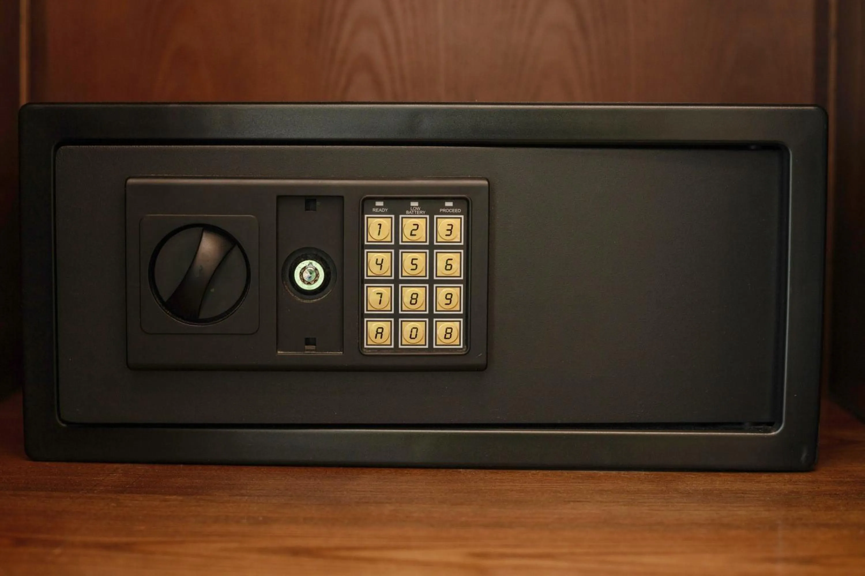 safe in Veshia Hotel & Spa