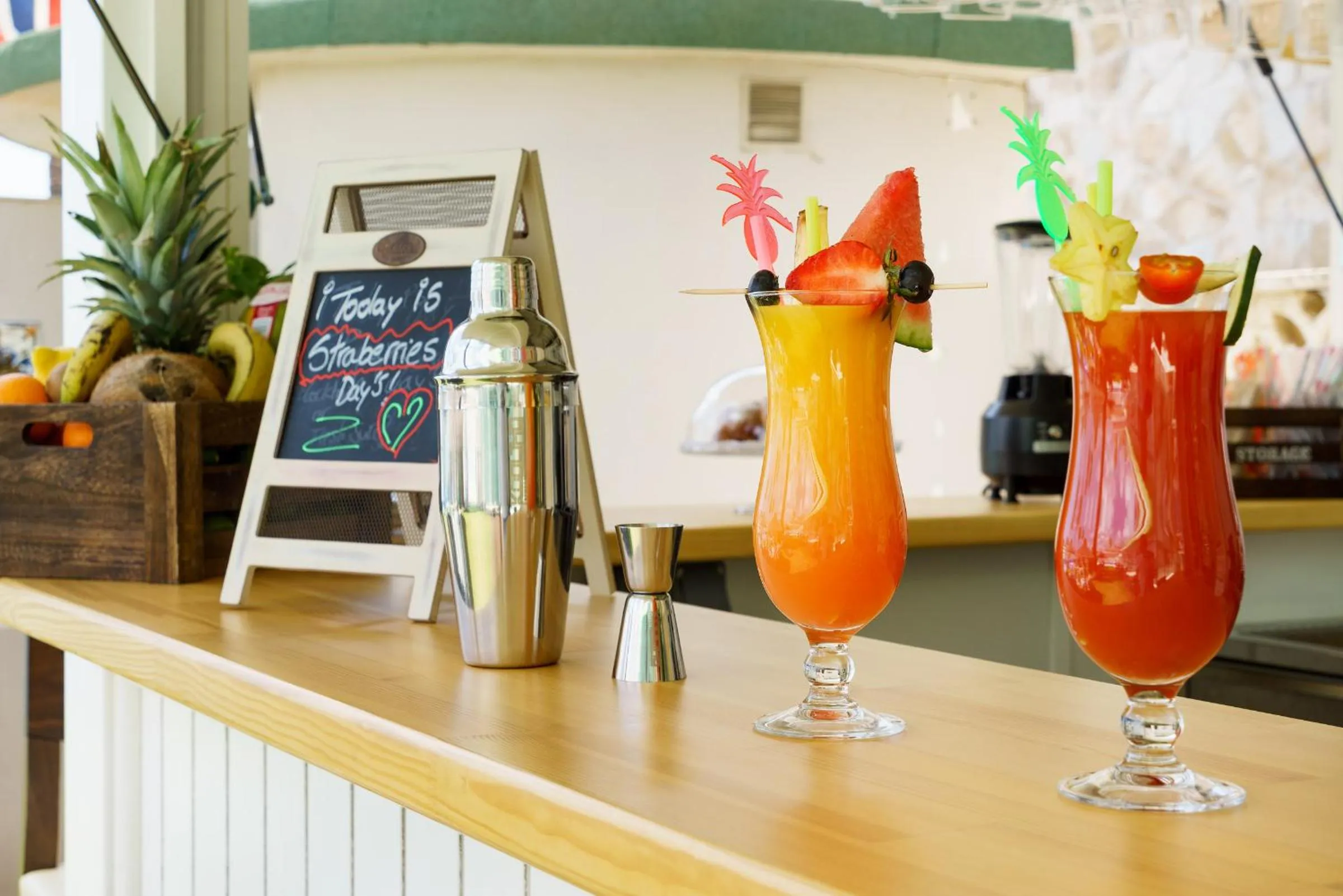 Garden in Hotel Isabel