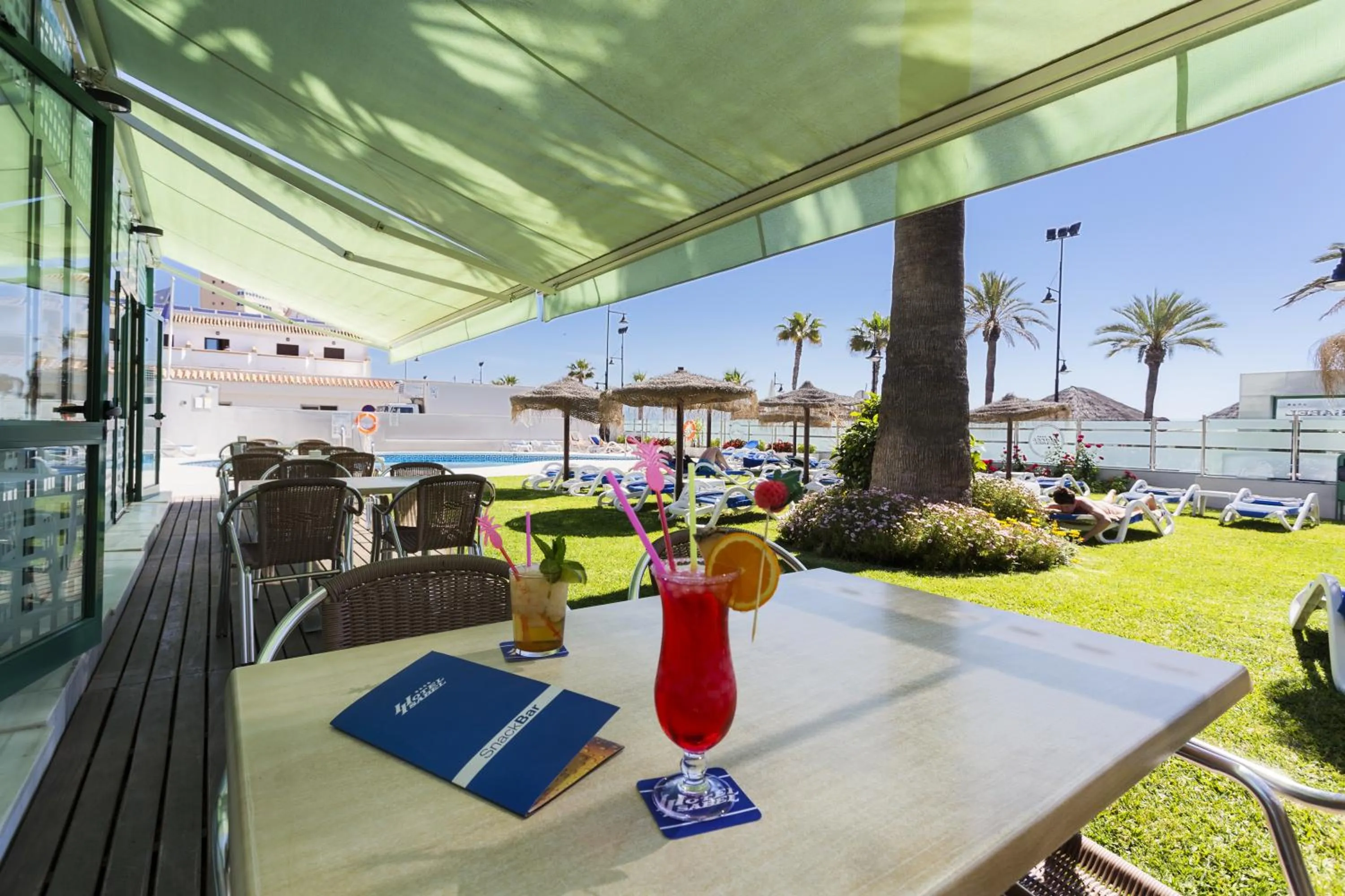 Garden in Hotel Isabel