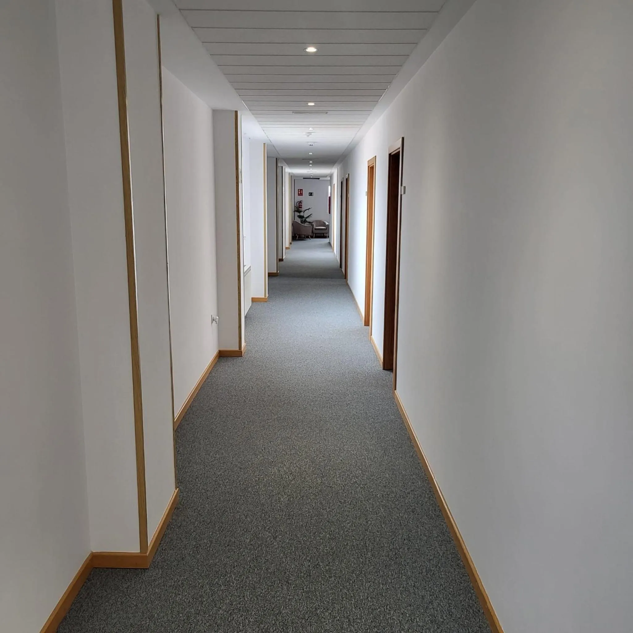 Area and facilities in Hotel Torcal