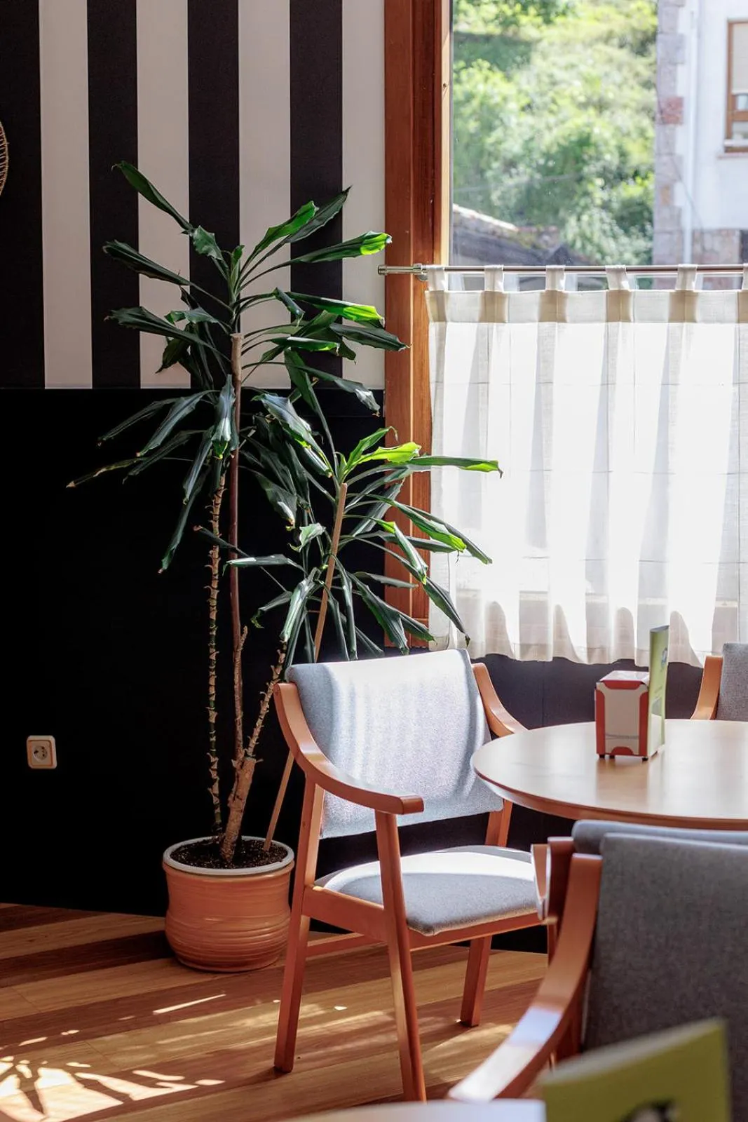 Hotel Ciudad Cangas de Onis