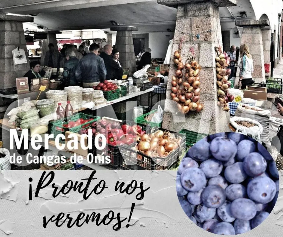 Hotel Ciudad Cangas de Onis