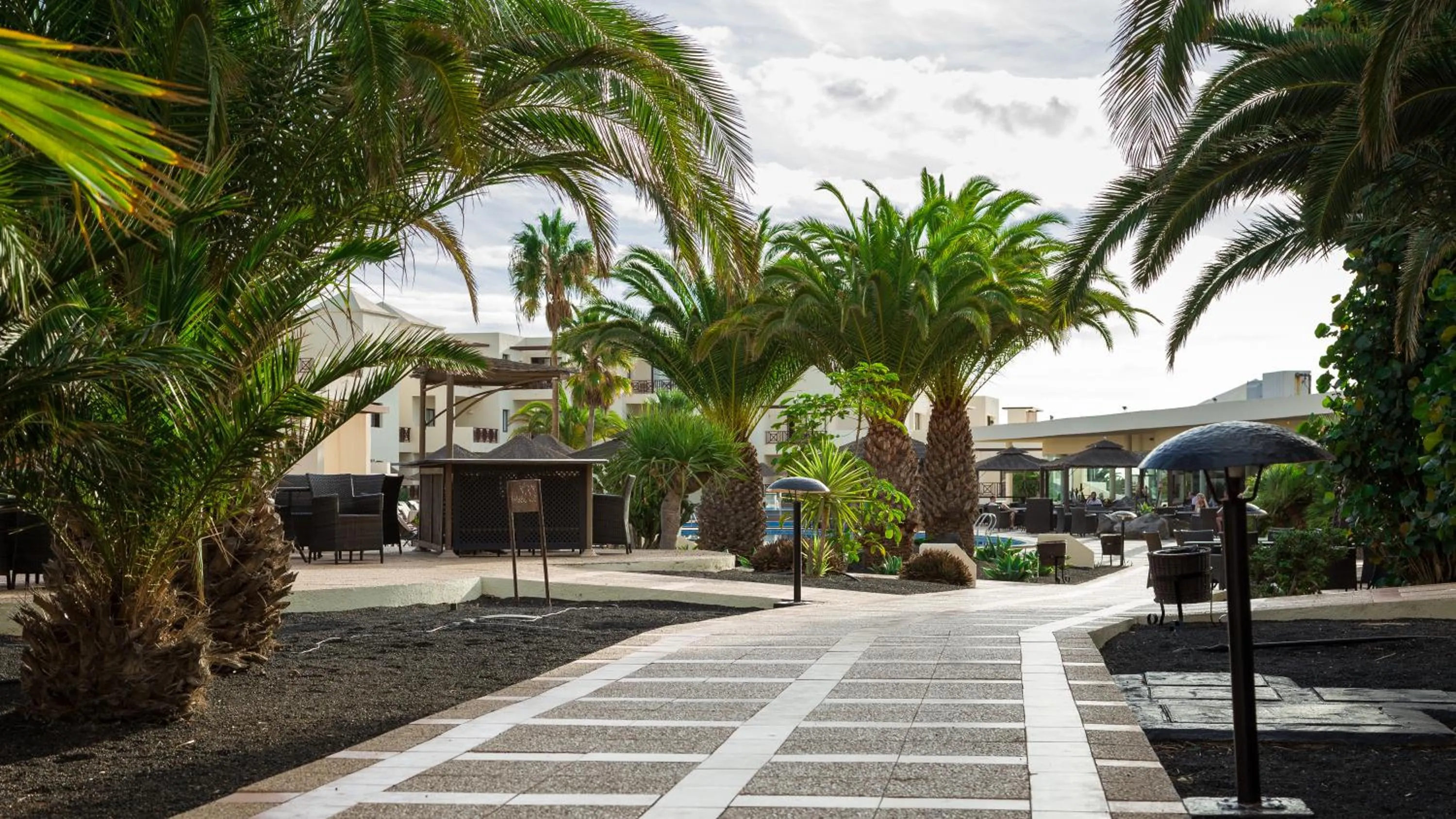 Garden in Vitalclass Lanzarote Resort