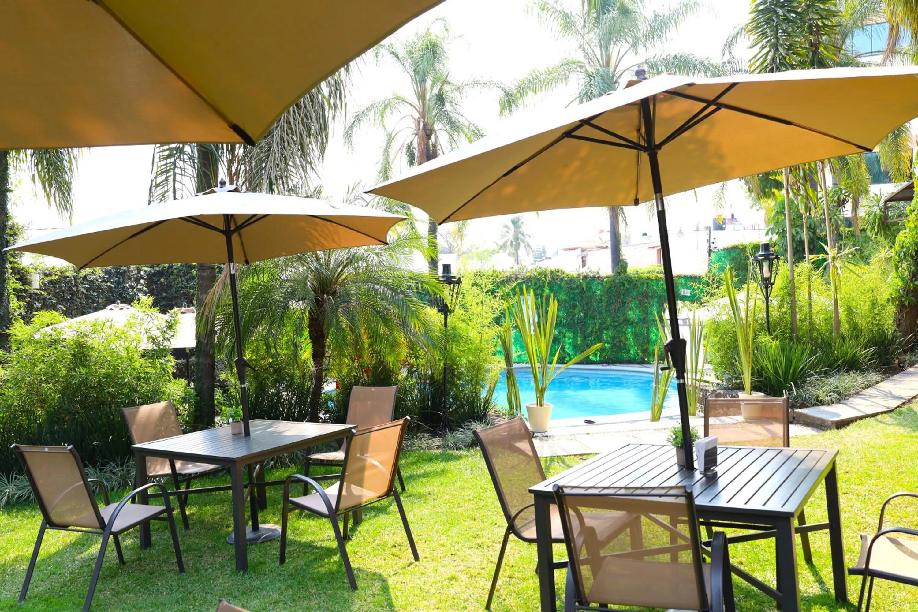 Restaurant/places to eat in Hotel Grand Vista Cuernavaca