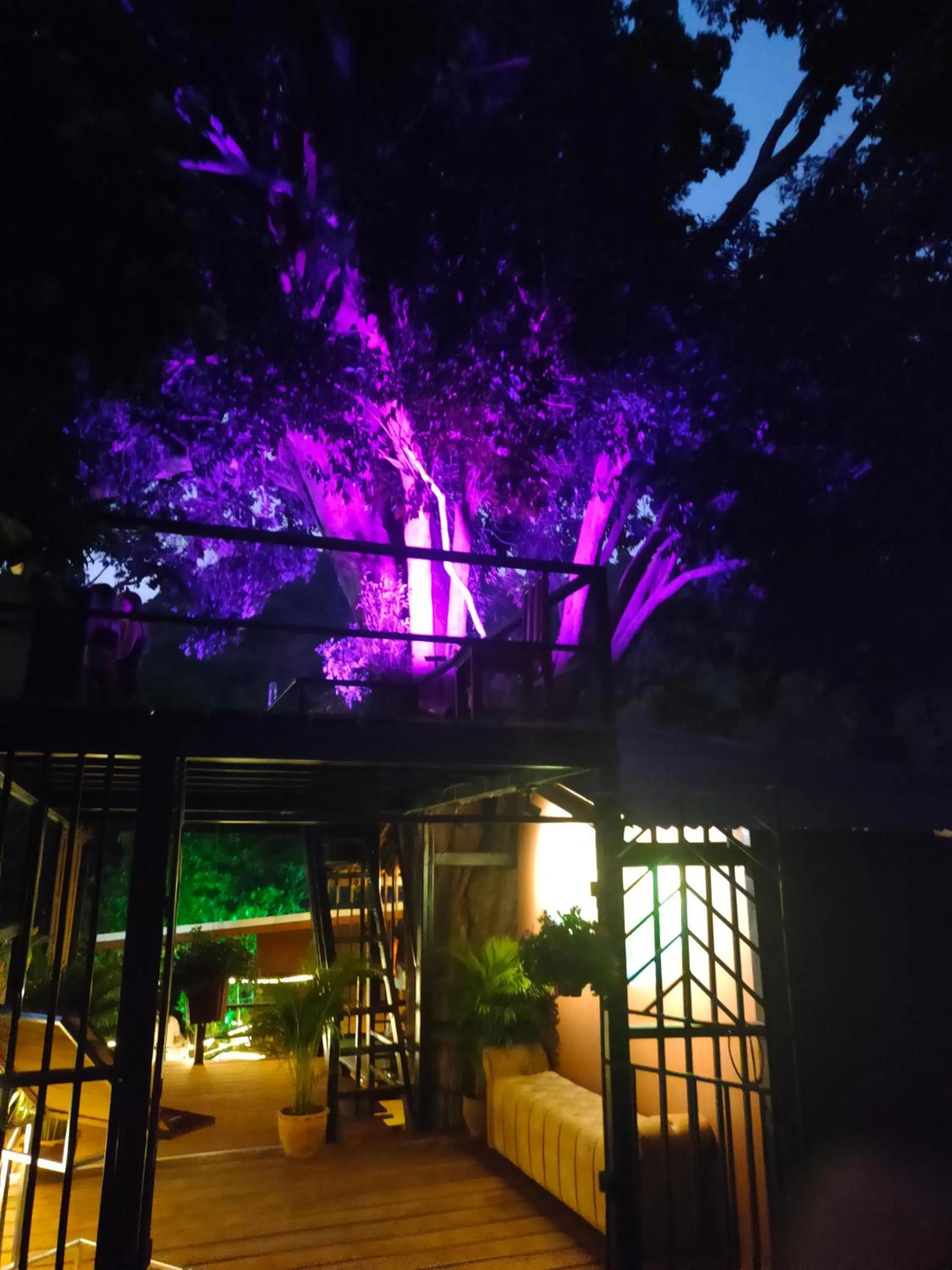 Lounge or bar in Phuket Jungle Experience Resort