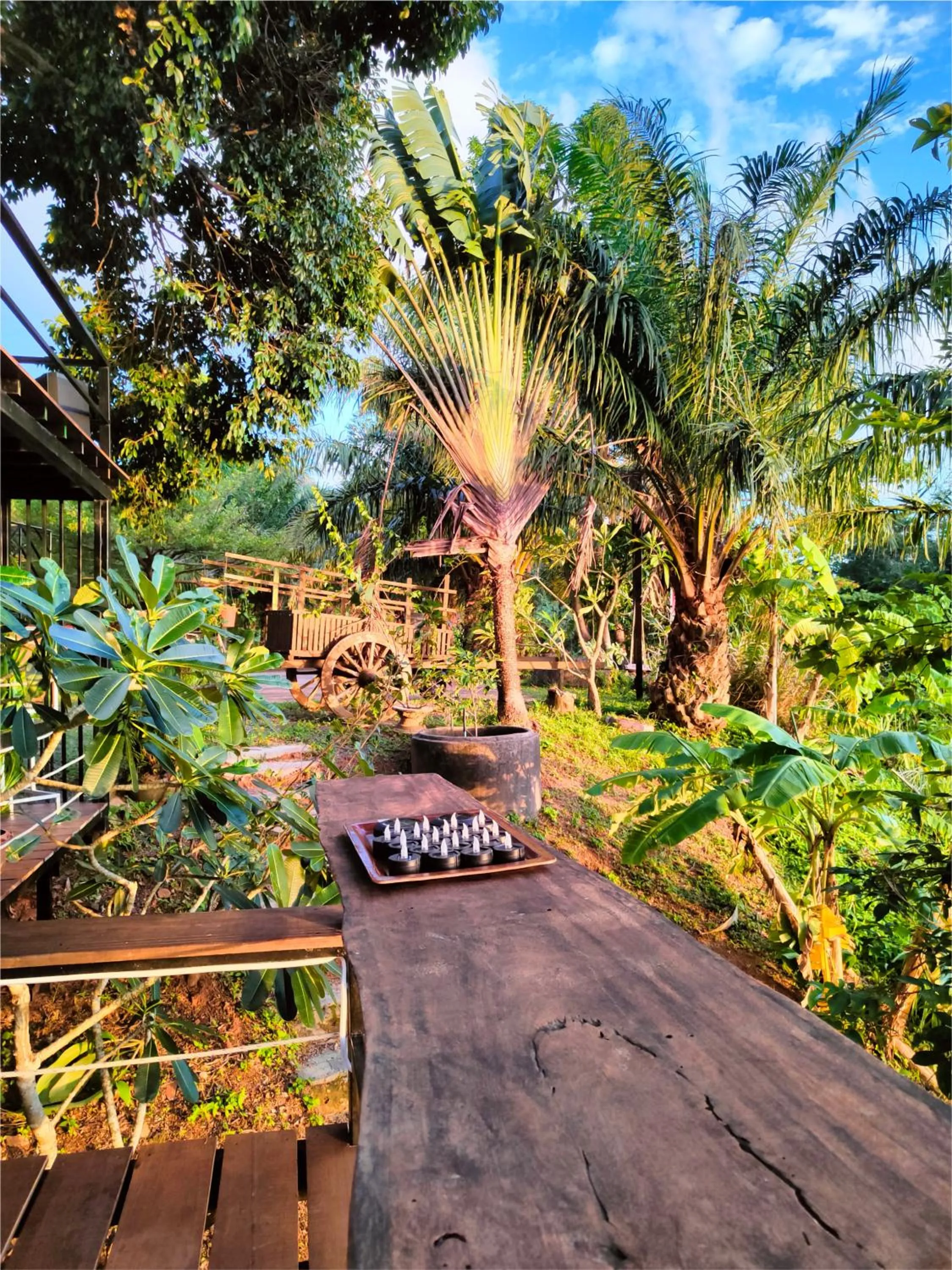 Lounge or bar in Phuket Jungle Experience Resort