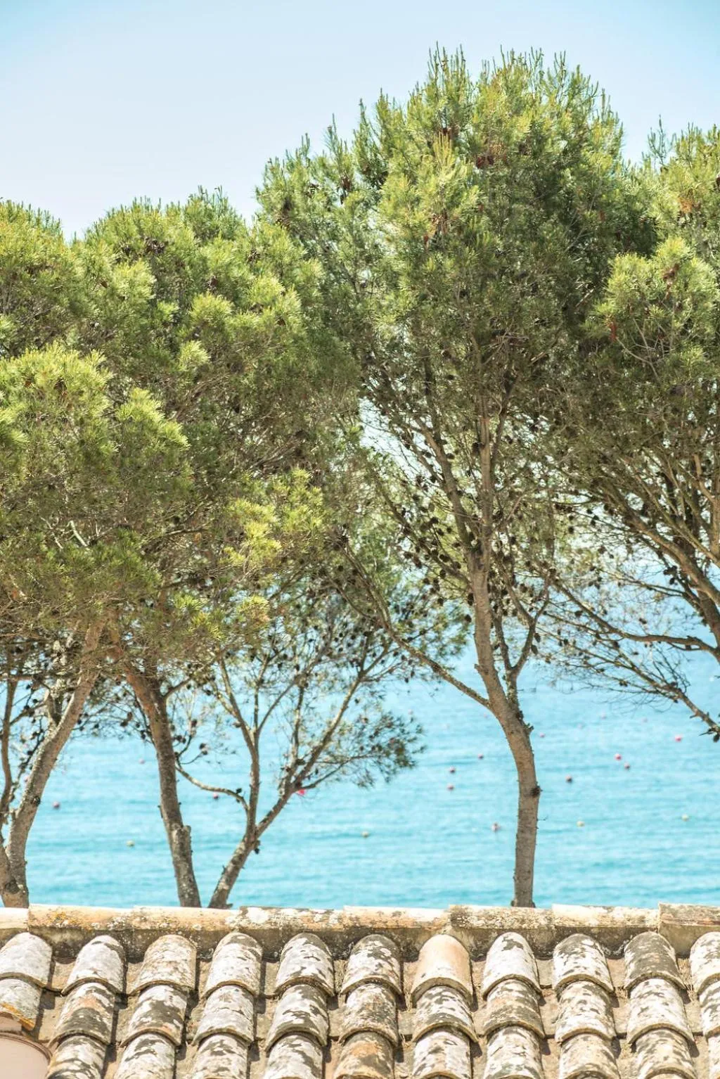 Natural landscape in Hotel Terramar