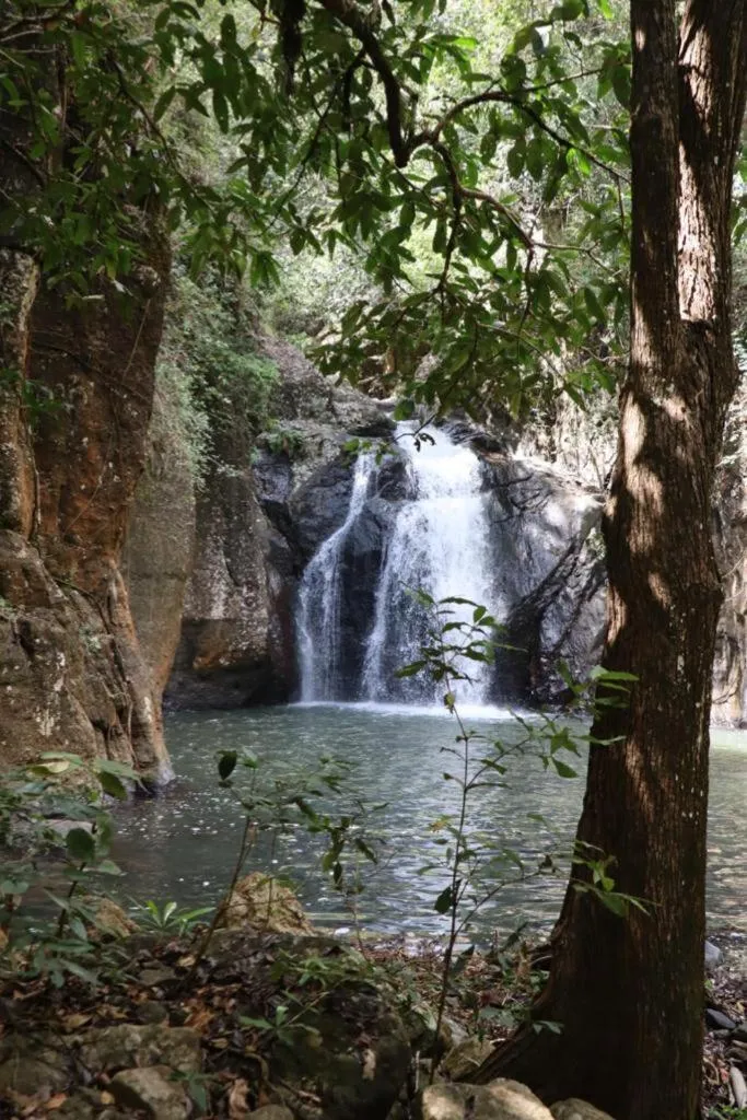 Home stay wolokoro ecotourism