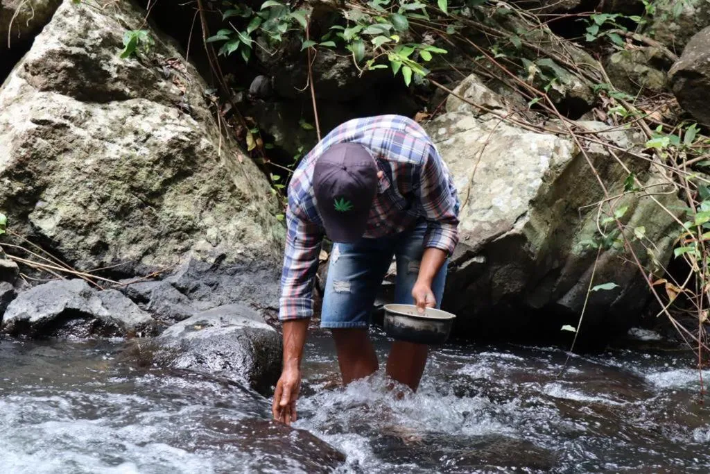 Home stay wolokoro ecotourism