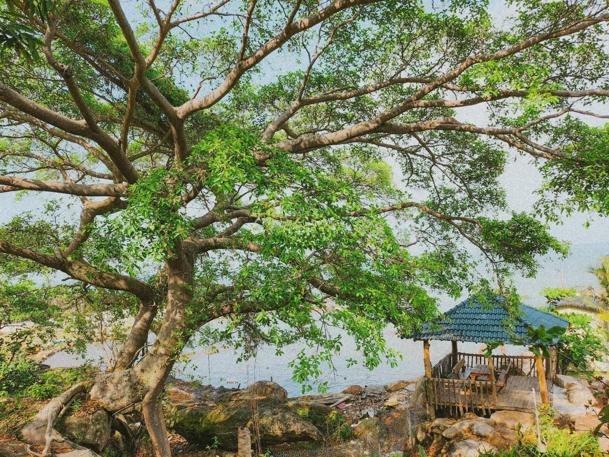 Voyage Phu Quoc Beach Resort