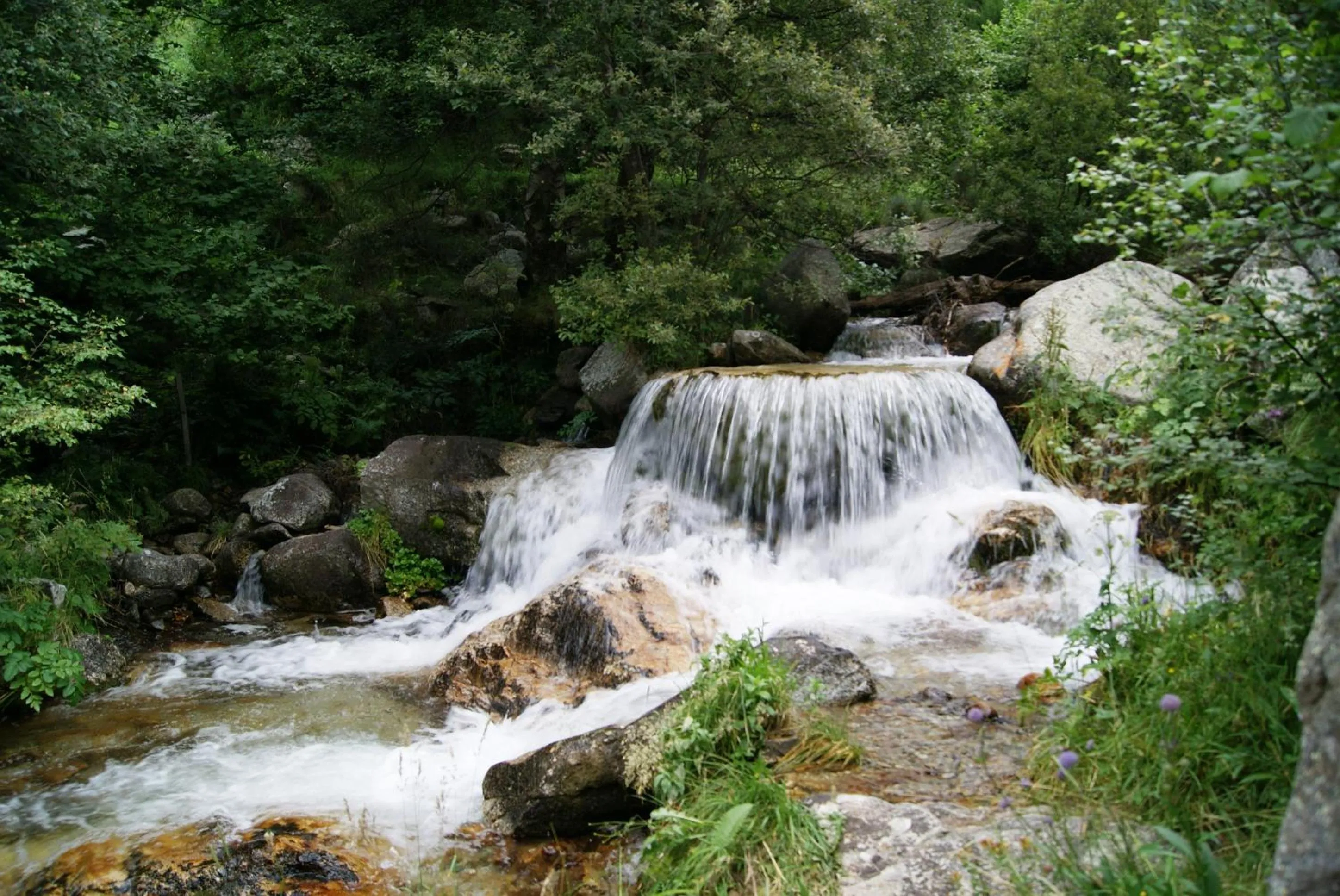 Natural landscape in Hotel La Coma