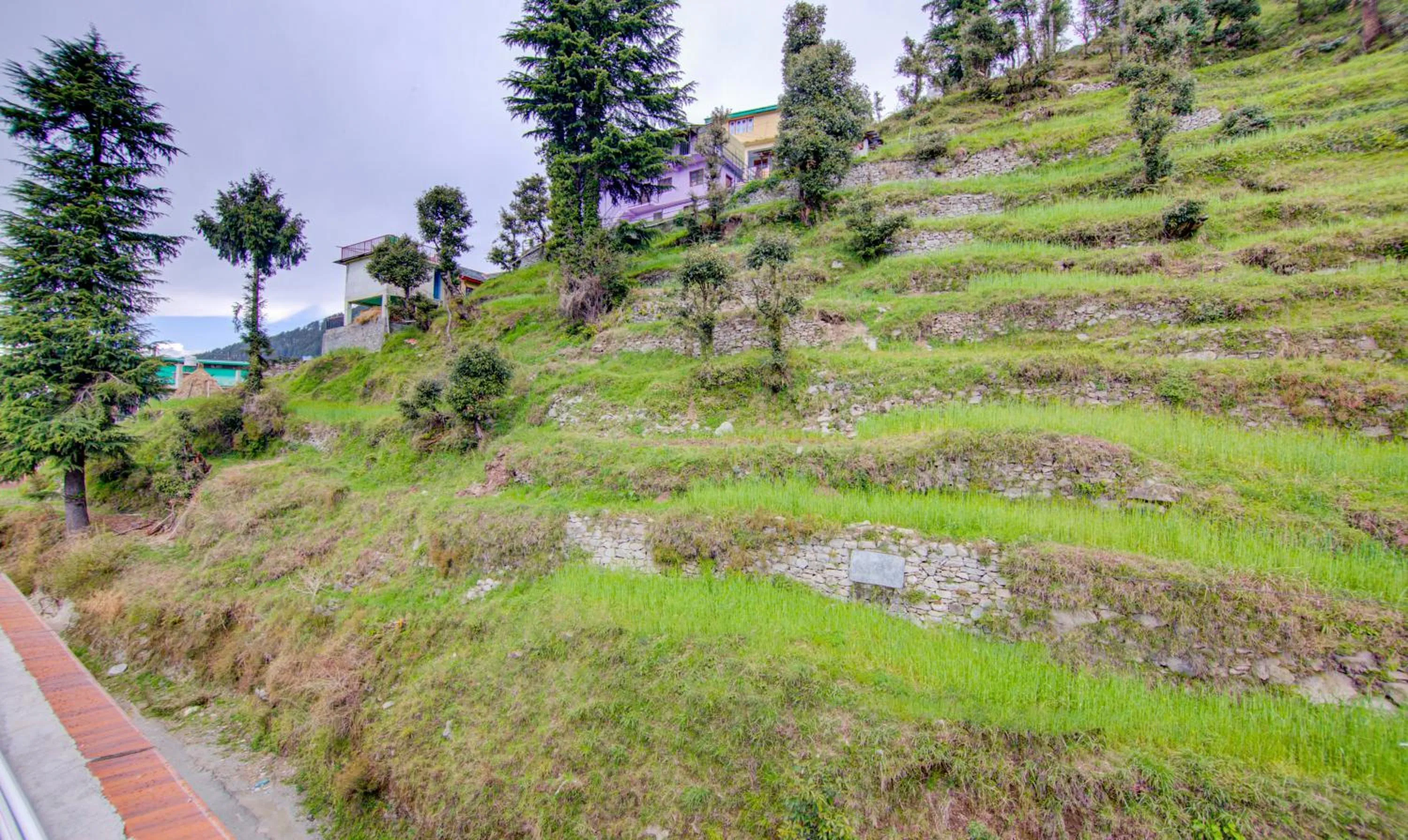 Natural landscape in Treebo Down Town, Dalhousie