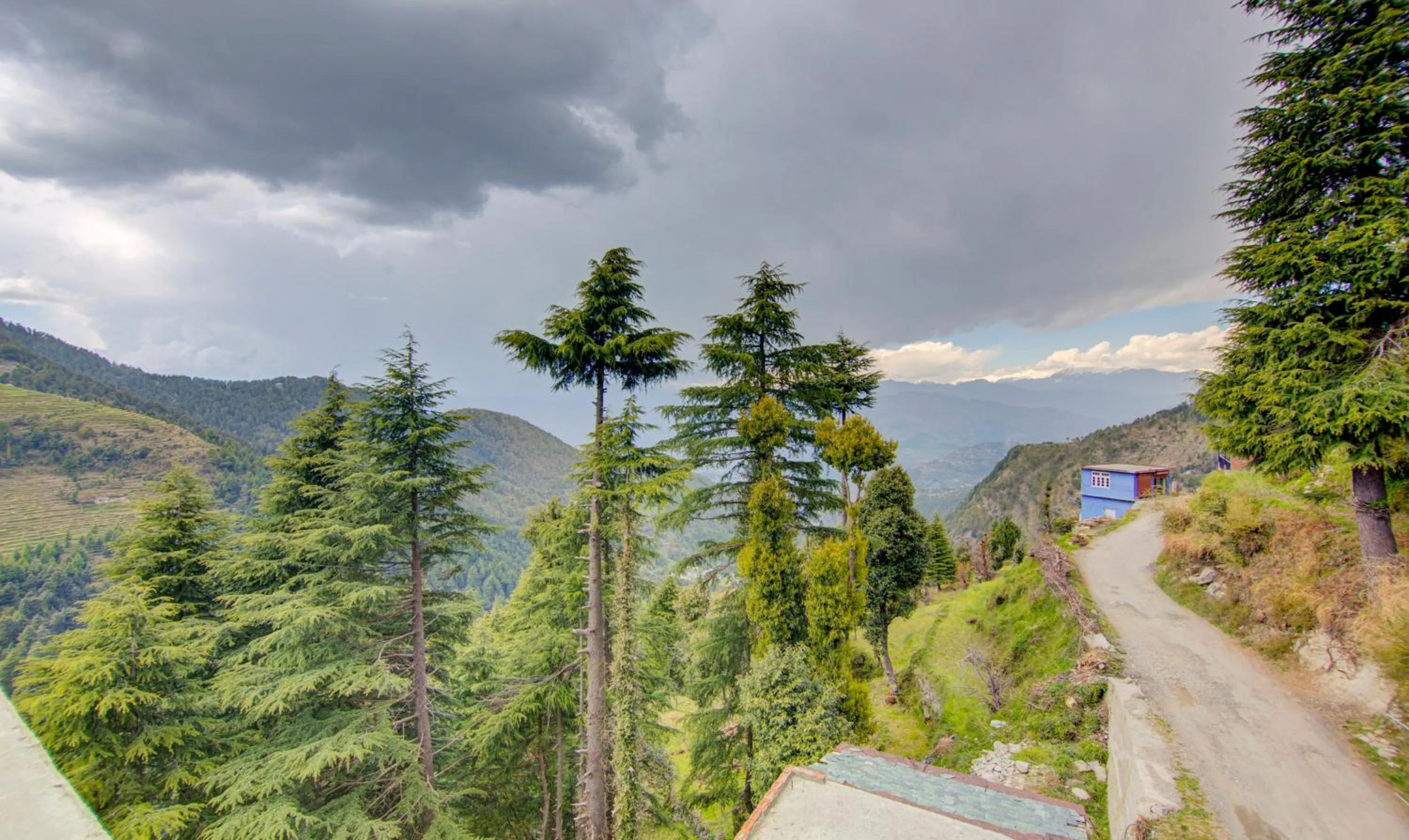 Mountain view in Treebo Down Town, Dalhousie